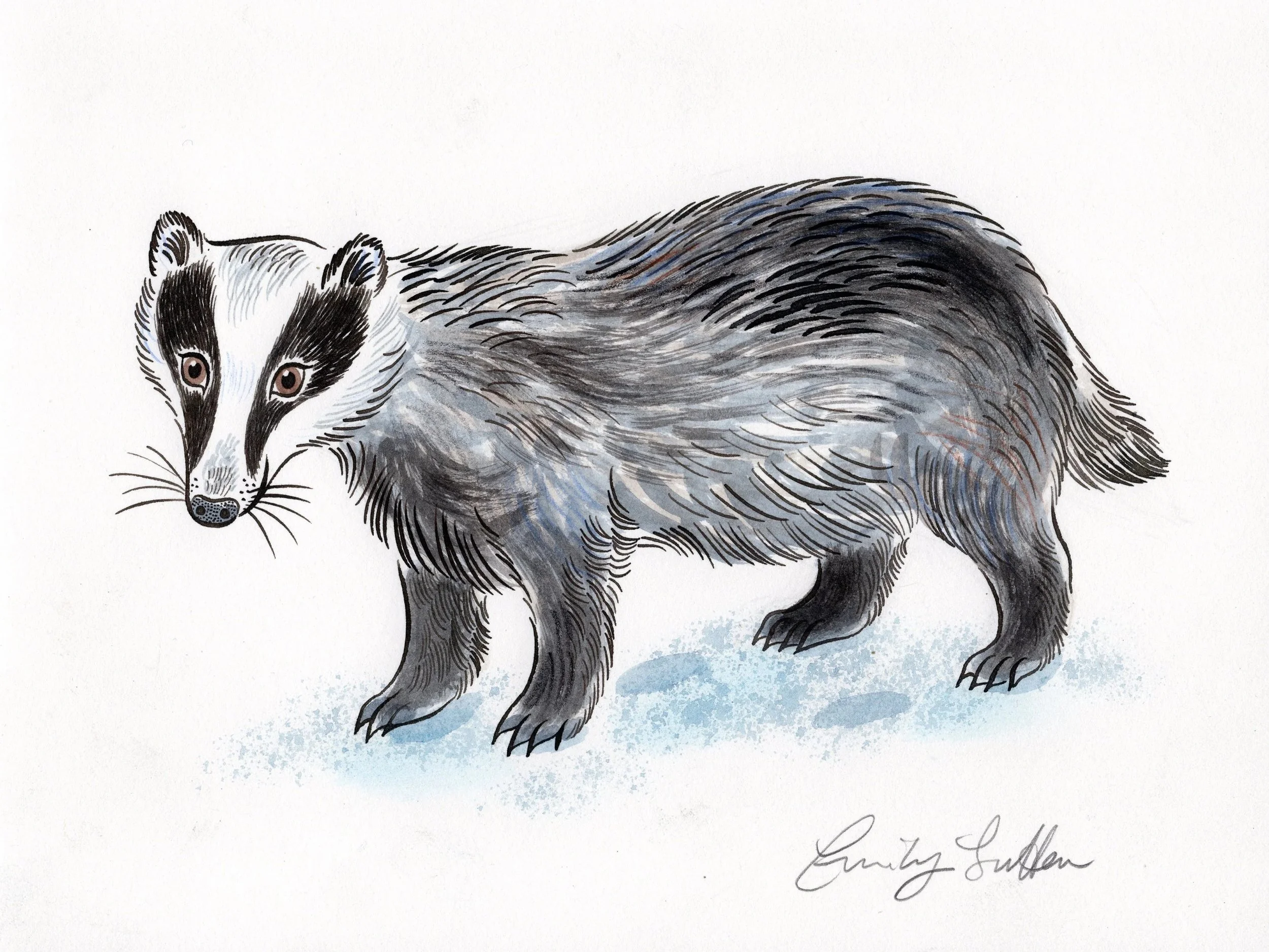 Badger 2