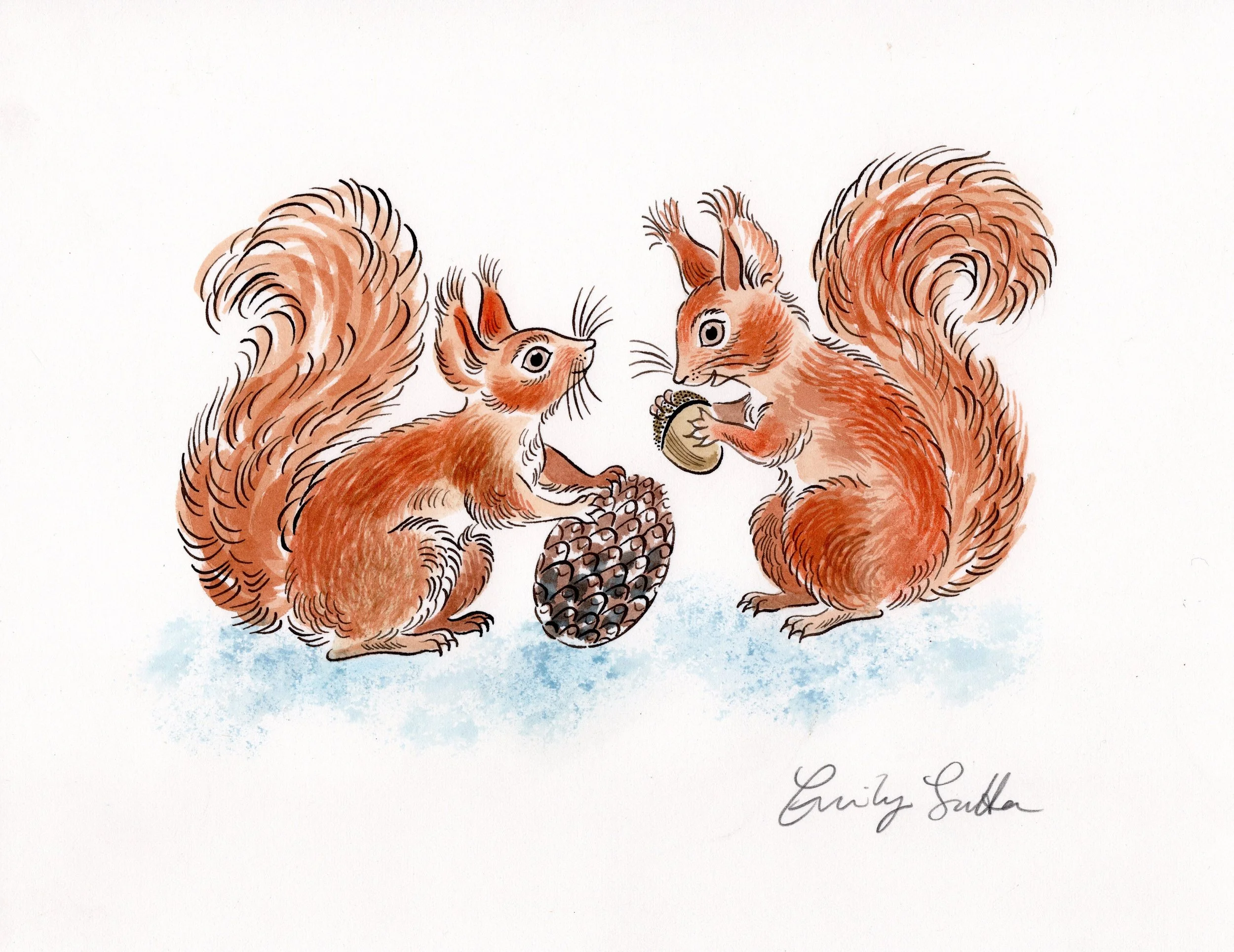 Pair of red squirrels