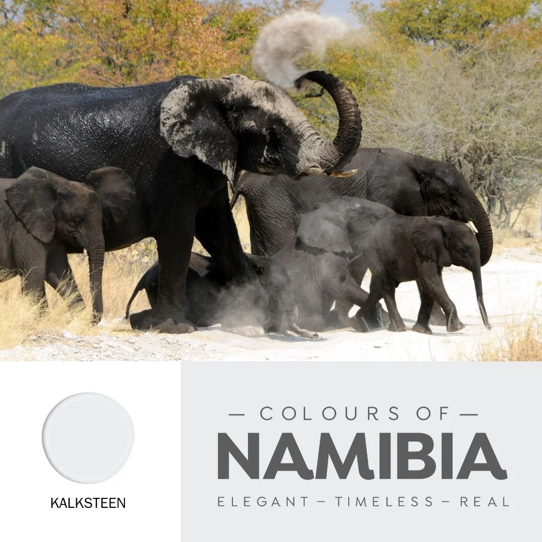 How to Choose the Perfect Paint Palette for Your Namibian Home — Promac