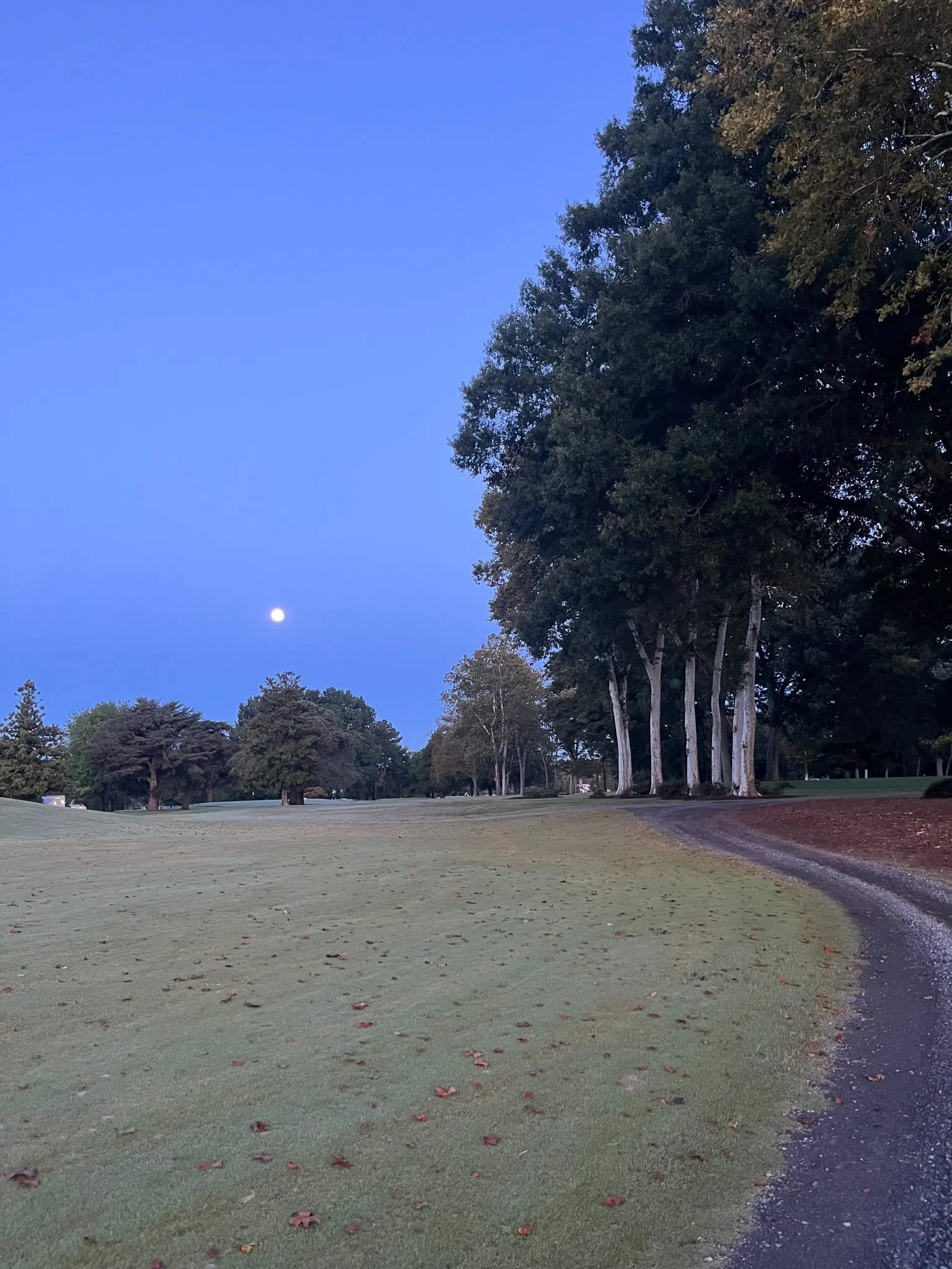 My newsletter this week explored the relationship between the full moon and gut health. This particular full moon eclipse this past week affected my mood and, I think, my digestion. And while there isn’t strong scientific evidence directly link