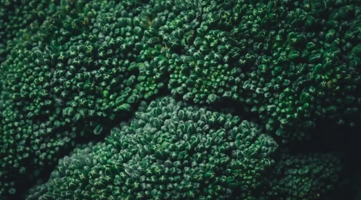 This week in practice, a theme kept surfacing: not inflammation, not blood sugar (which is typically the most popular), not kidney labs, not medications&hellip; but instability. 

Meals skipped and then overeaten. Protein too low because appetite is 