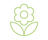 flower.png