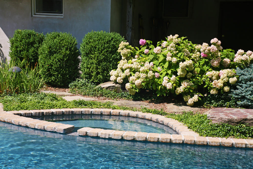 Inground pool and plantings in Franklin Lakes, NJ