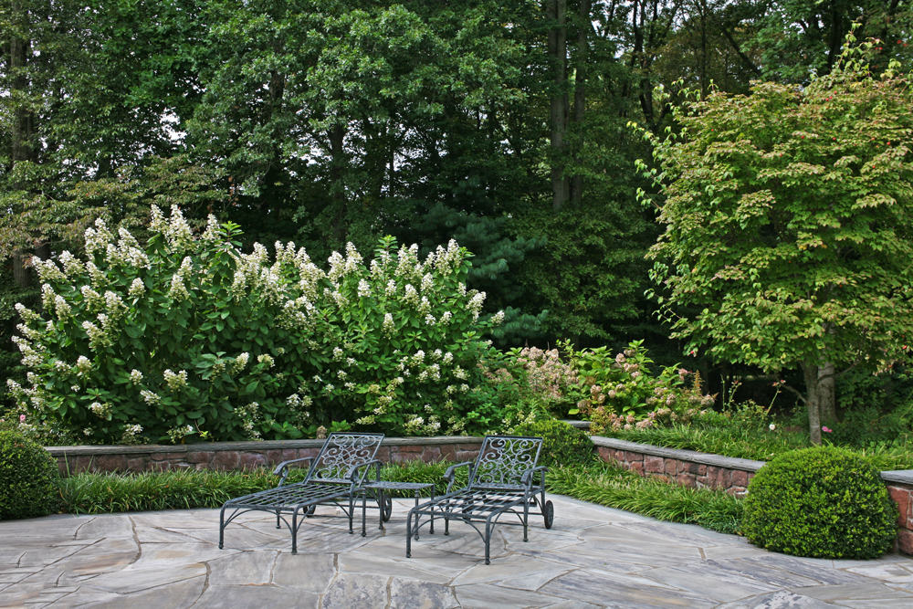 Paver patio and plantings in Saddle River, NJ