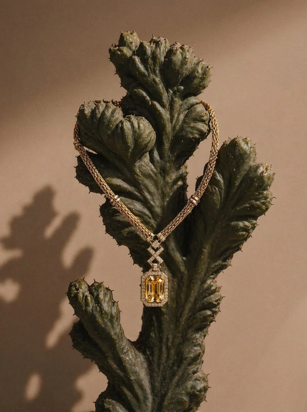 Luxury jewellery editorial, botanical art direction cactus, Chi-Young Bang Studio