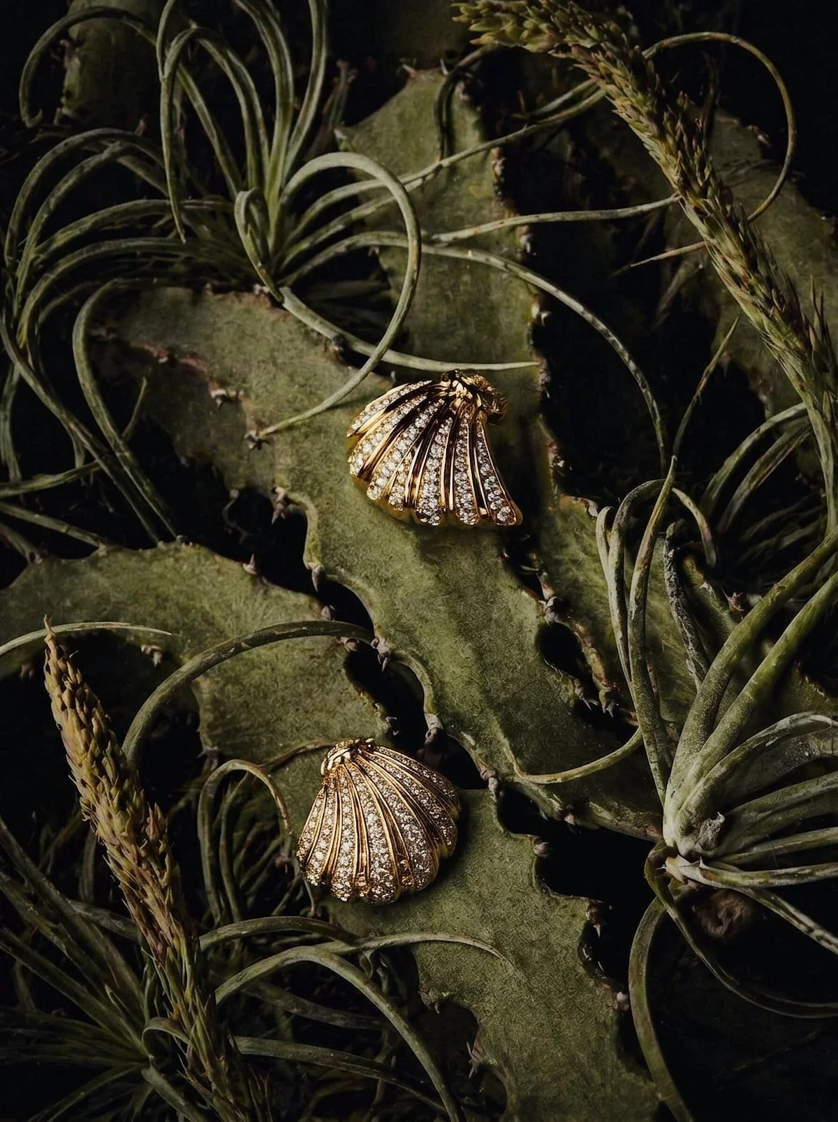 Botanical jewellery still life, fine art cactus concept, Chi-Young Bang Studio