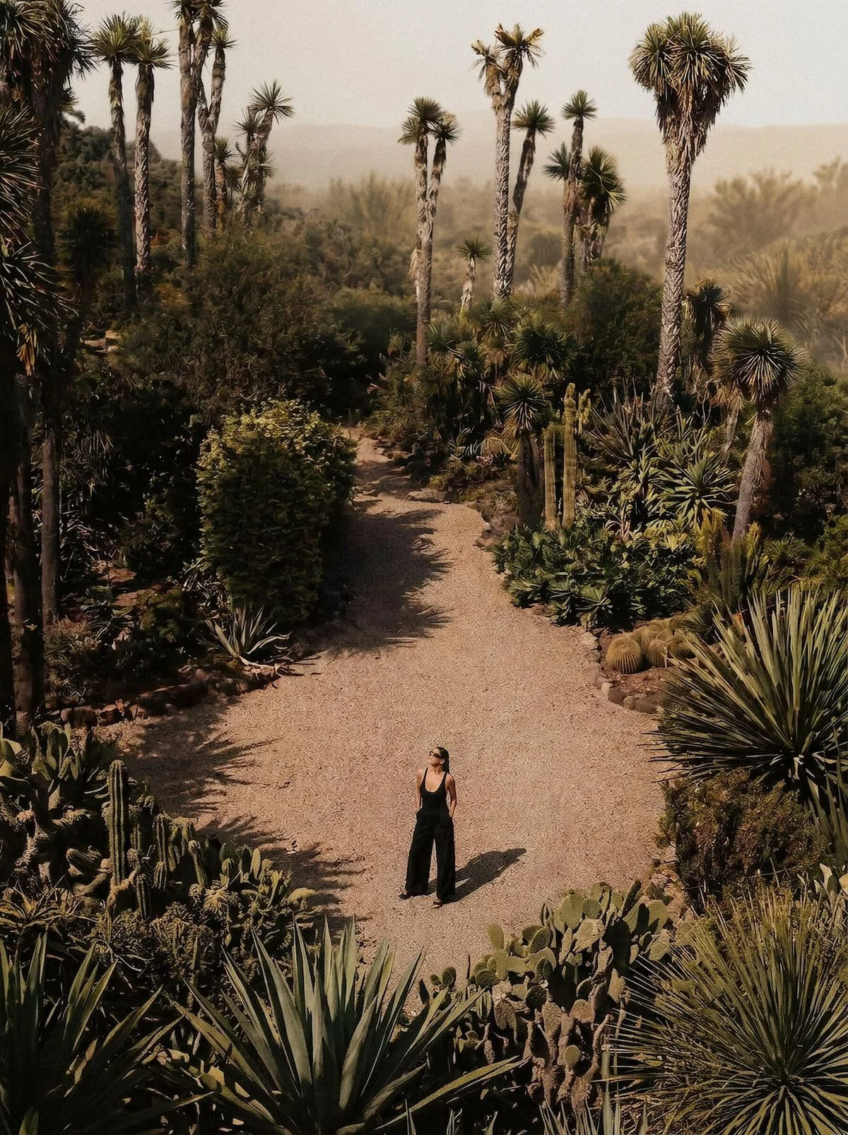Fashion editorial photography, desert landscape creative direction, Chi-Young Bang Studio