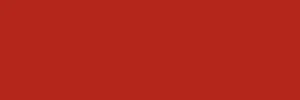Vision RED.jpg