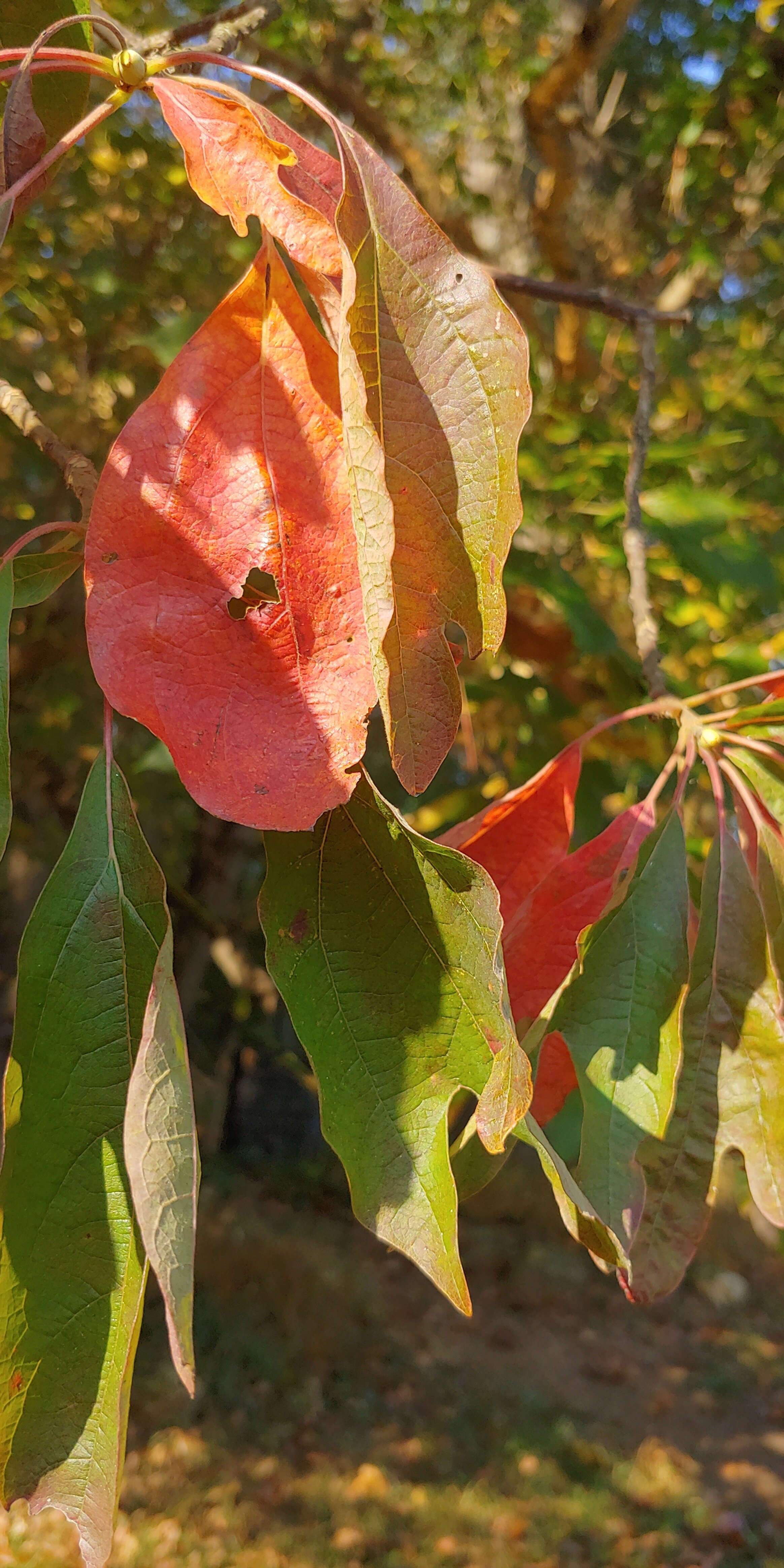 20191002_093449_HDR.jpg