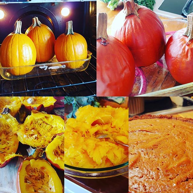 Pumpkin! And spices! Have you made a fresh pumpkin pie before? I love making pumpkin puree and using it in pancakes, bread, soup, and of course pie!

It's so easy to make plenty of puree to have around for a healthy addition to nearly anything you wa