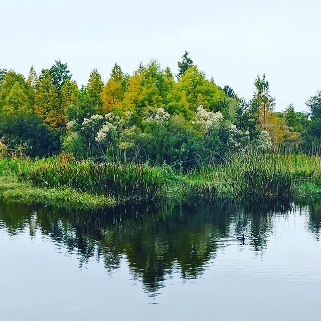 Lucky breaks in tropical places to escape the cold. I love that you can just go around the corner in Florida and be overwhelmed by its natural beauty.