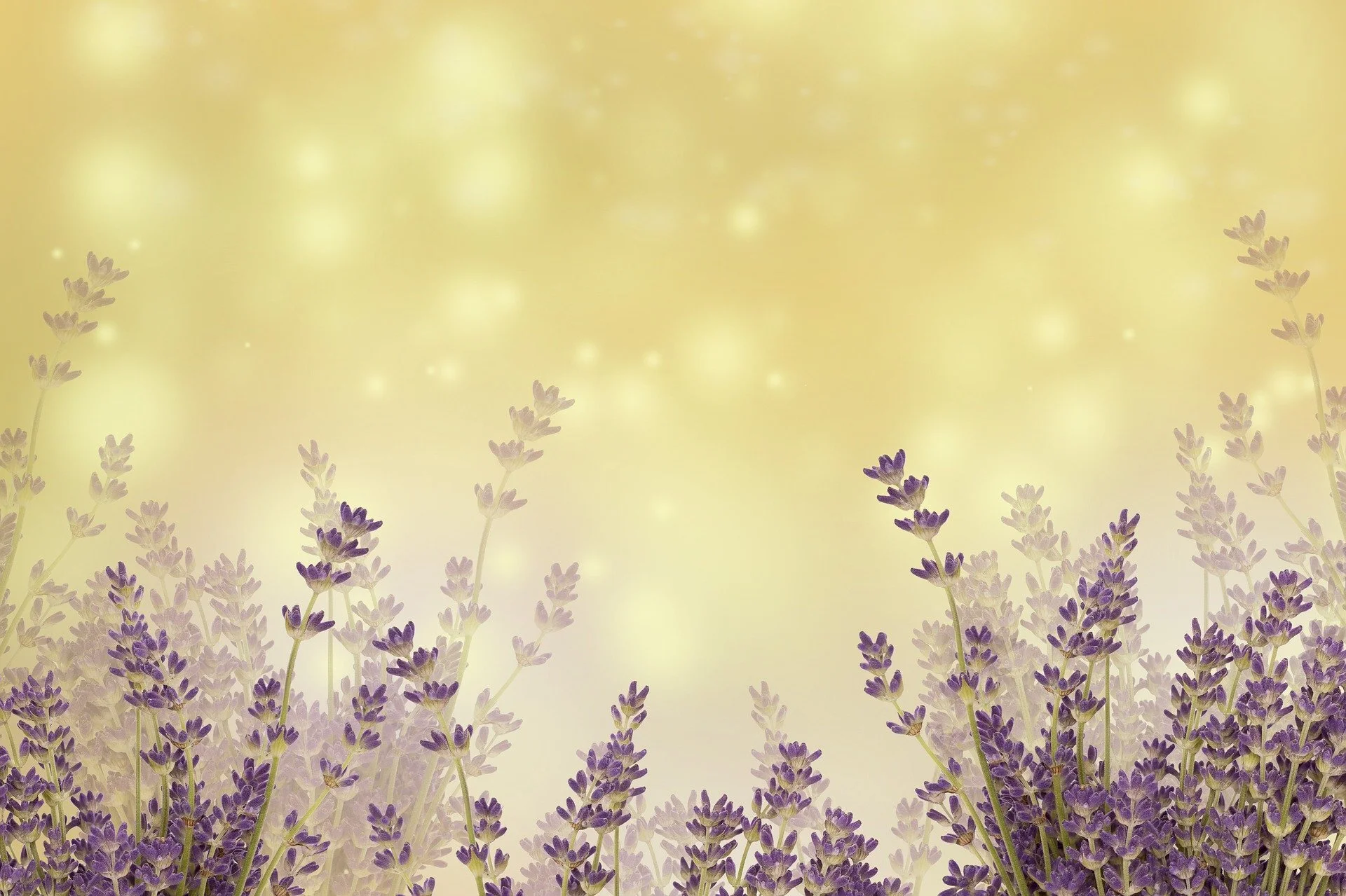 Jesus Instructs Us in Kingdom Living