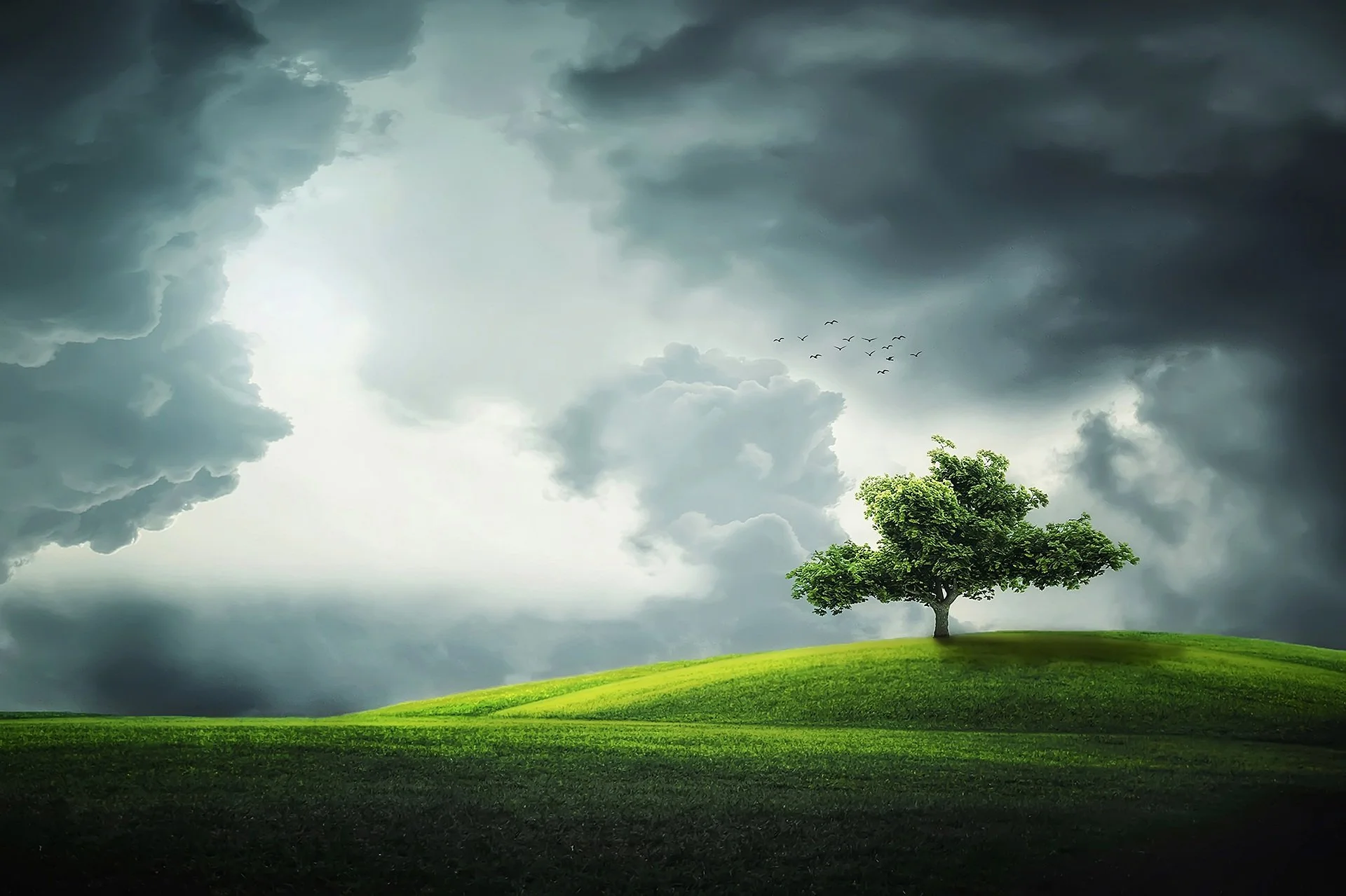 "Hope deferred makes the heart sick, but a longing fulfilled is a tree of life."