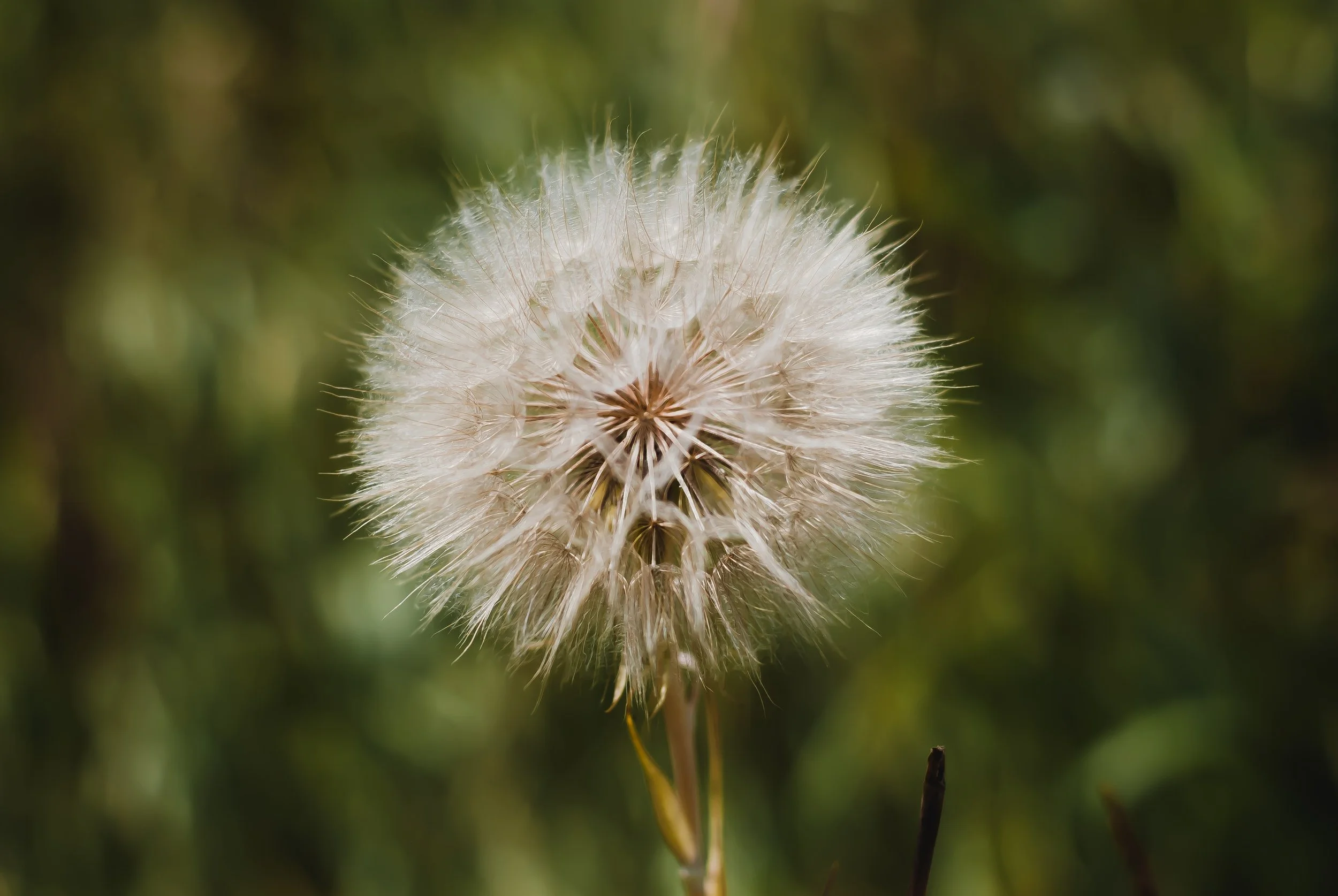New Covenant Worship: "In Spirit and in Truth" (Part 1)