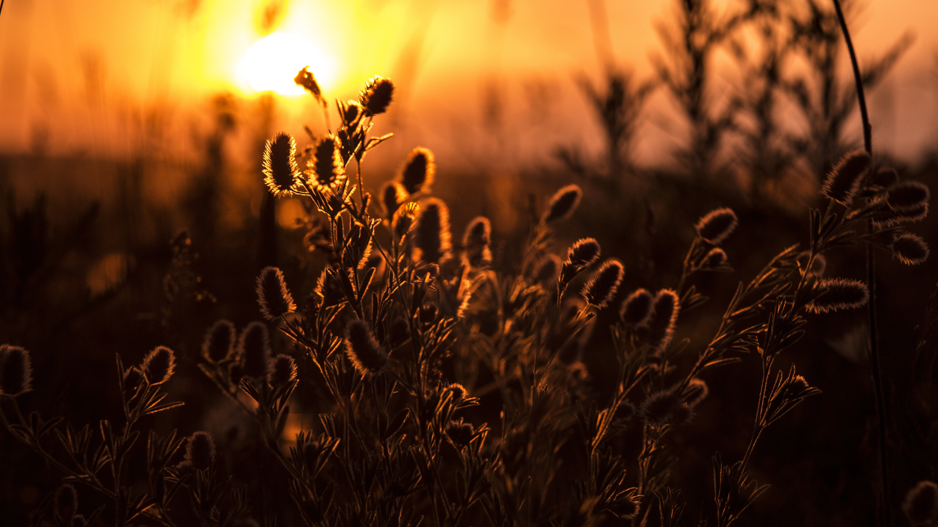 New Covenant Worship (Part 9): "First Fruits/Pentecost"