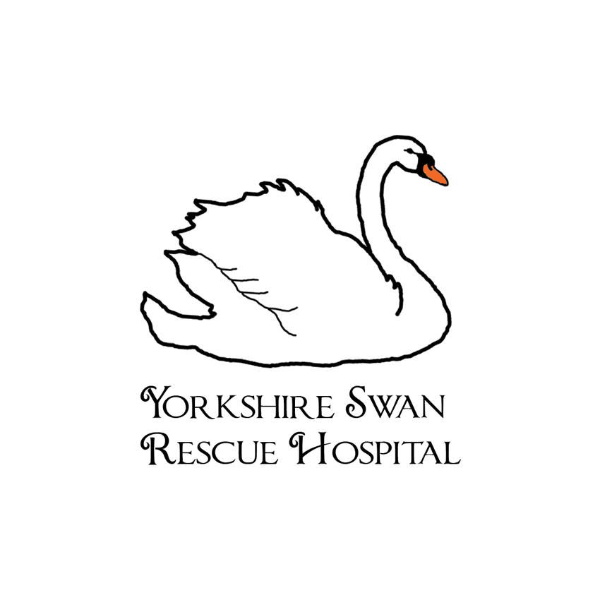 Yorkshire-Swan-Rescue-Logo-Comparison-DO-Creative.gif