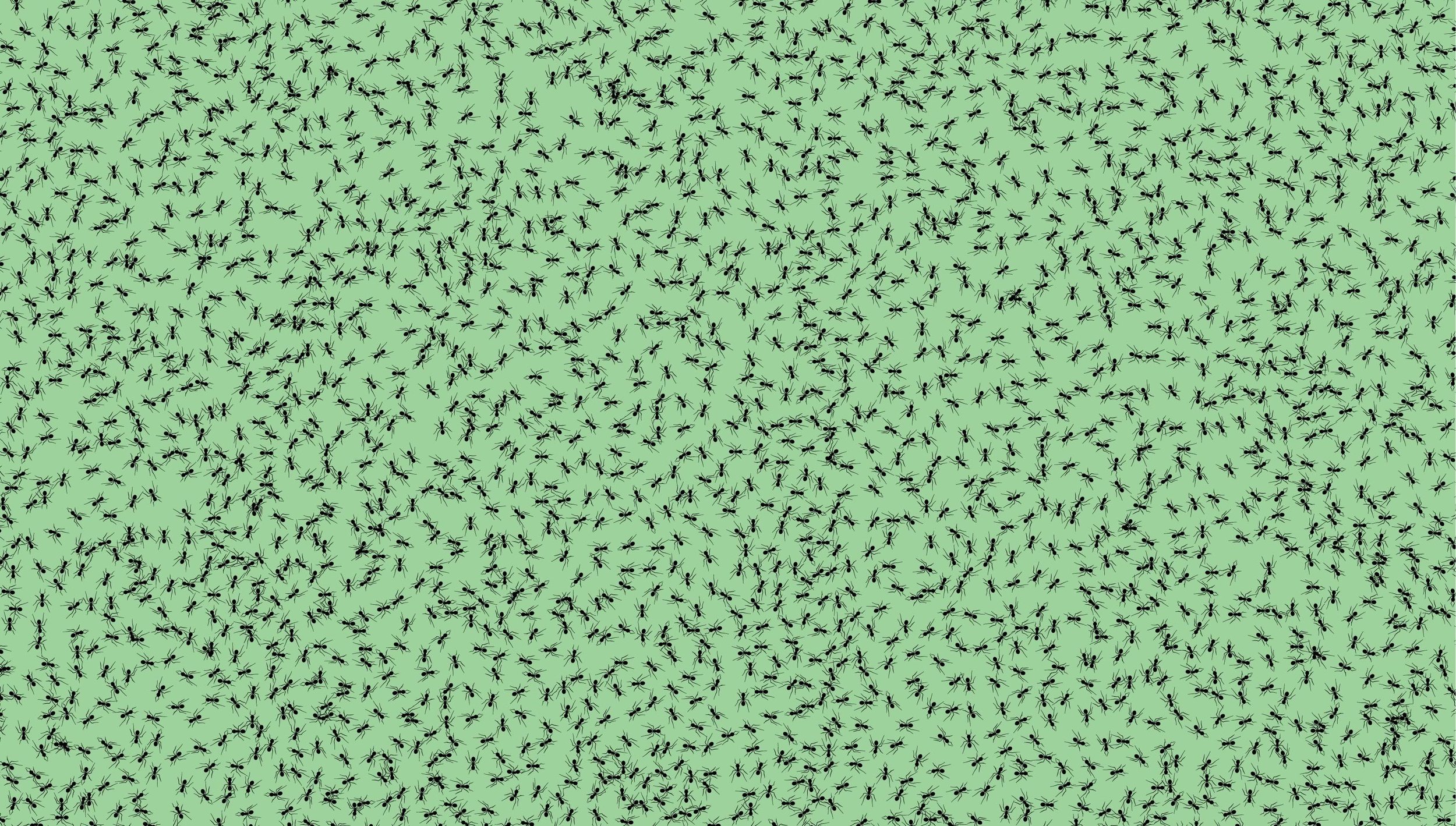 Optima-Ants-DO-Creative.jpg
