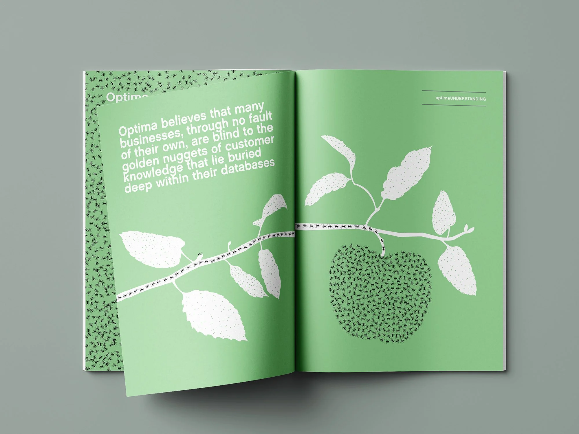 Optima-A4-Brochure-4-DO-Creative.jpg