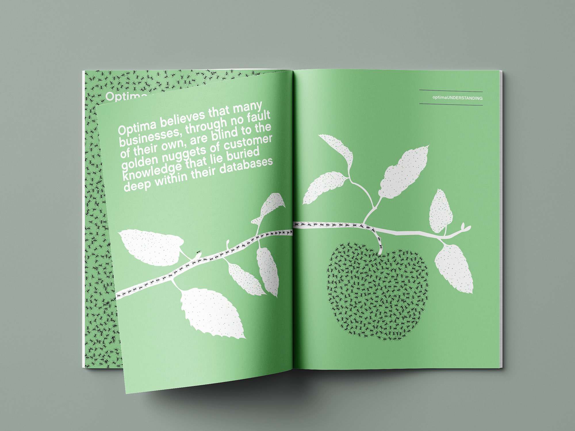 Optima-A4-Brochure-4-DO-Creative.jpg