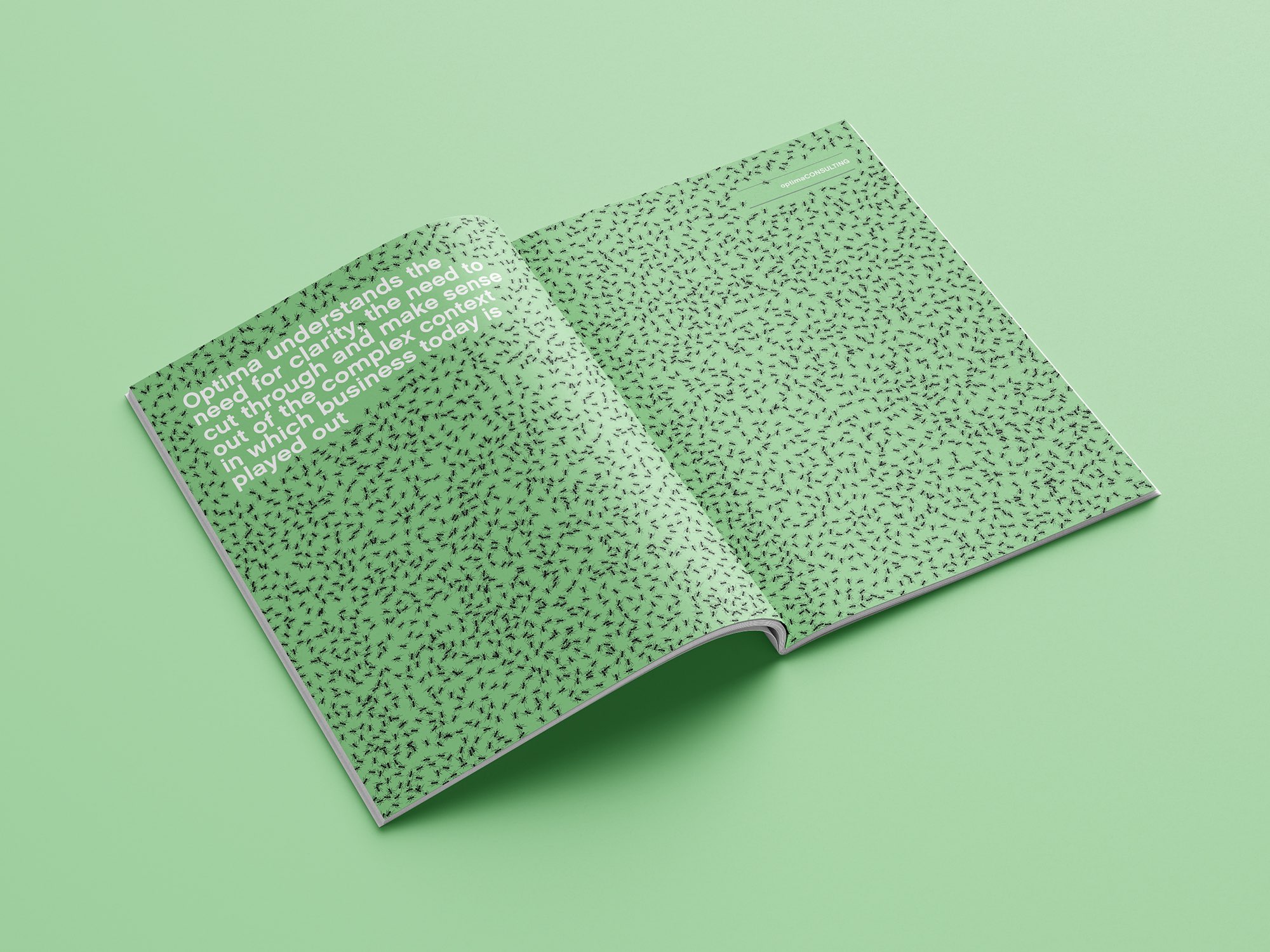 Optima-A4-Brochure-2-DO-Creative.jpg