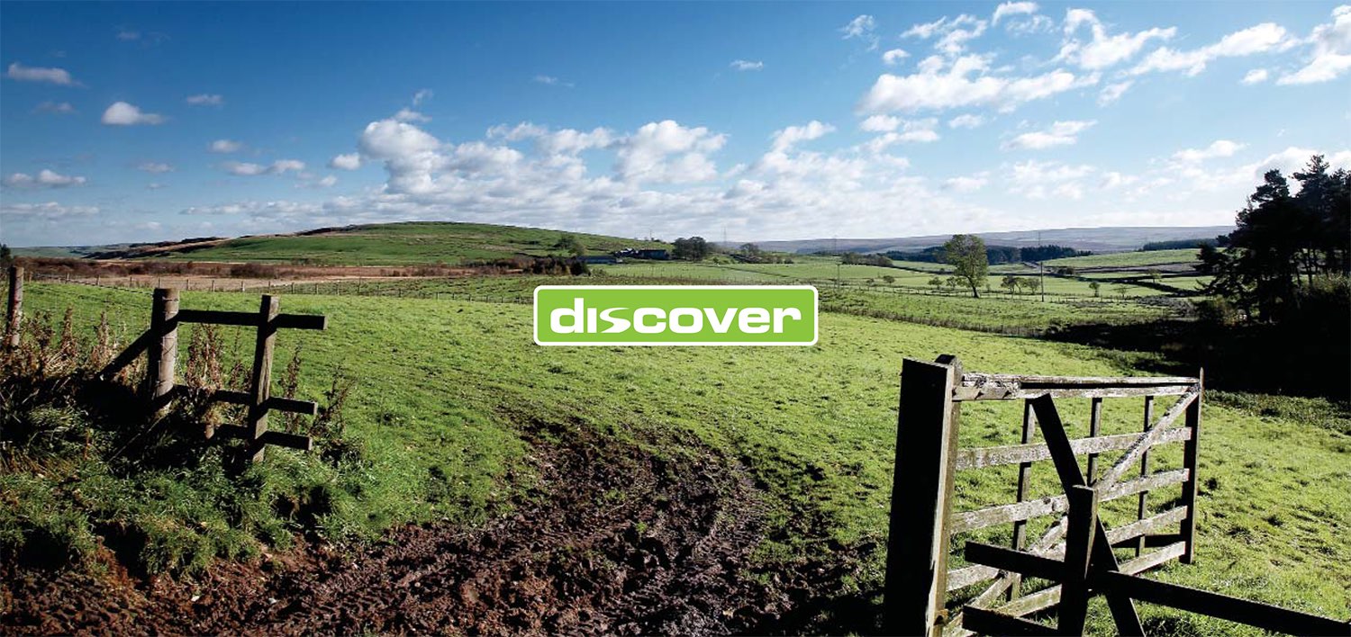 Discover-1-DO-Creative.jpg