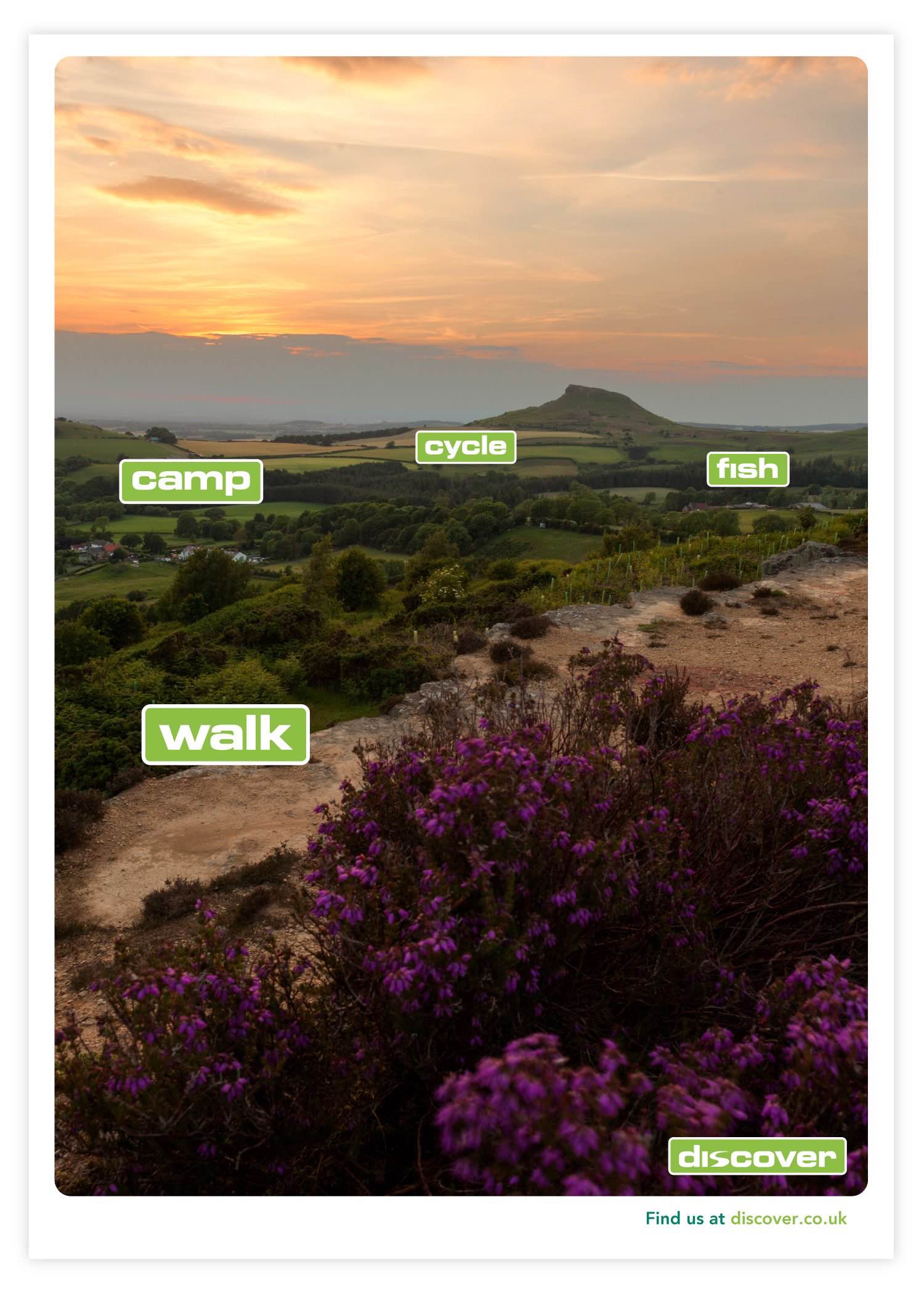 Discover-Ad-DO-Creative.jpg