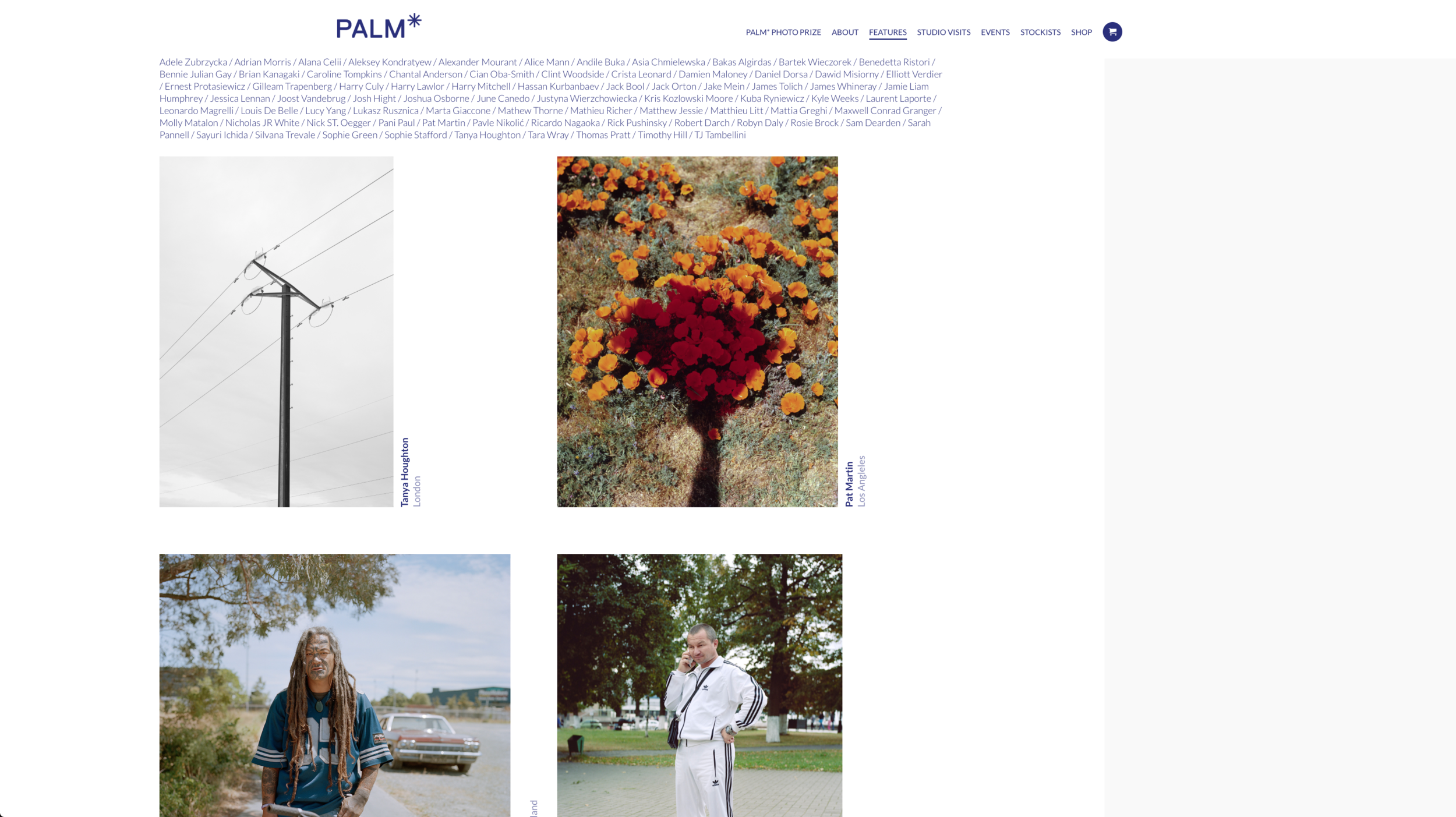 PALM STUDIOS FEATURES SONGLINES OF THE HERE+NOW 