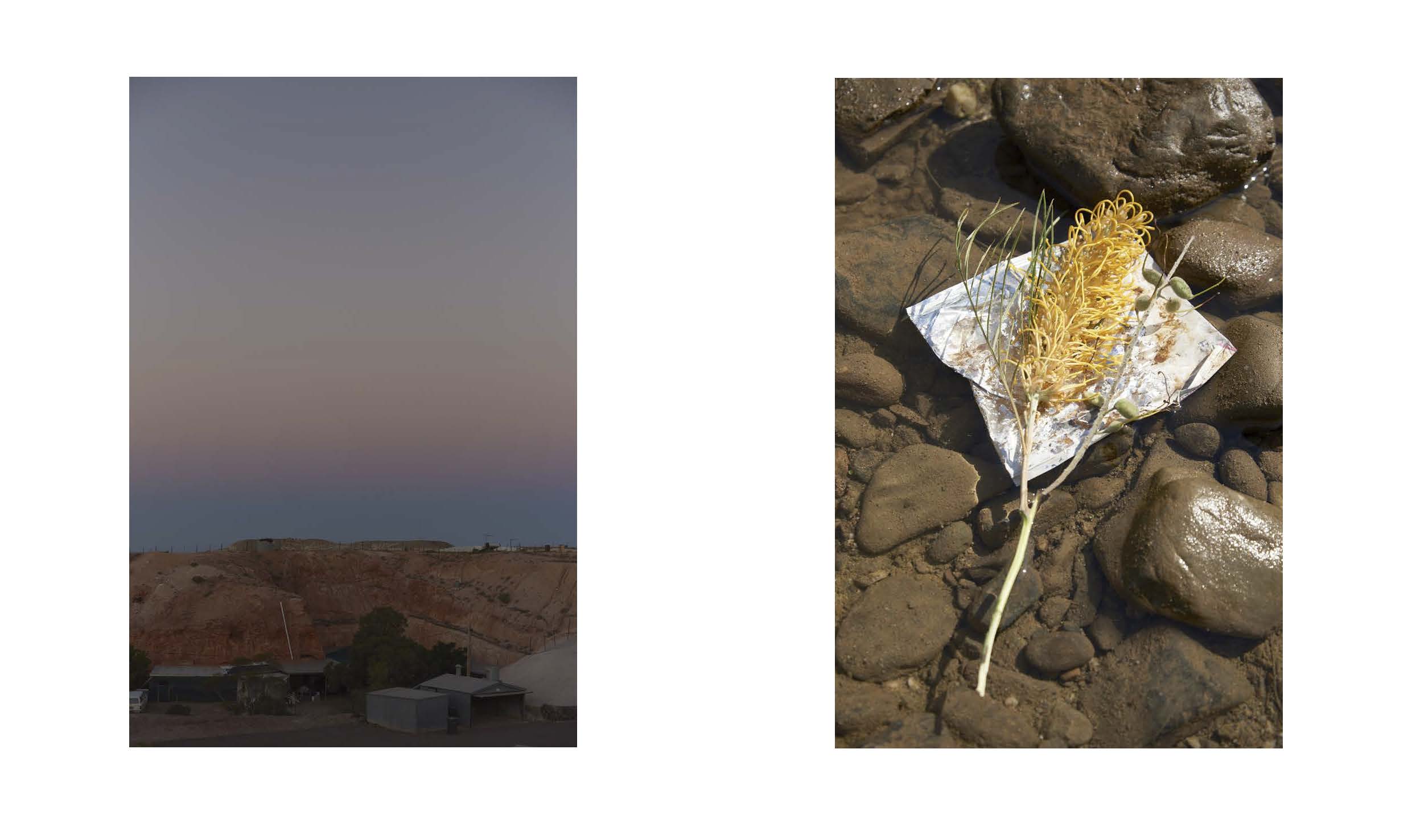 Tanya Houghton Songlines Dummy_Page_09.jpg