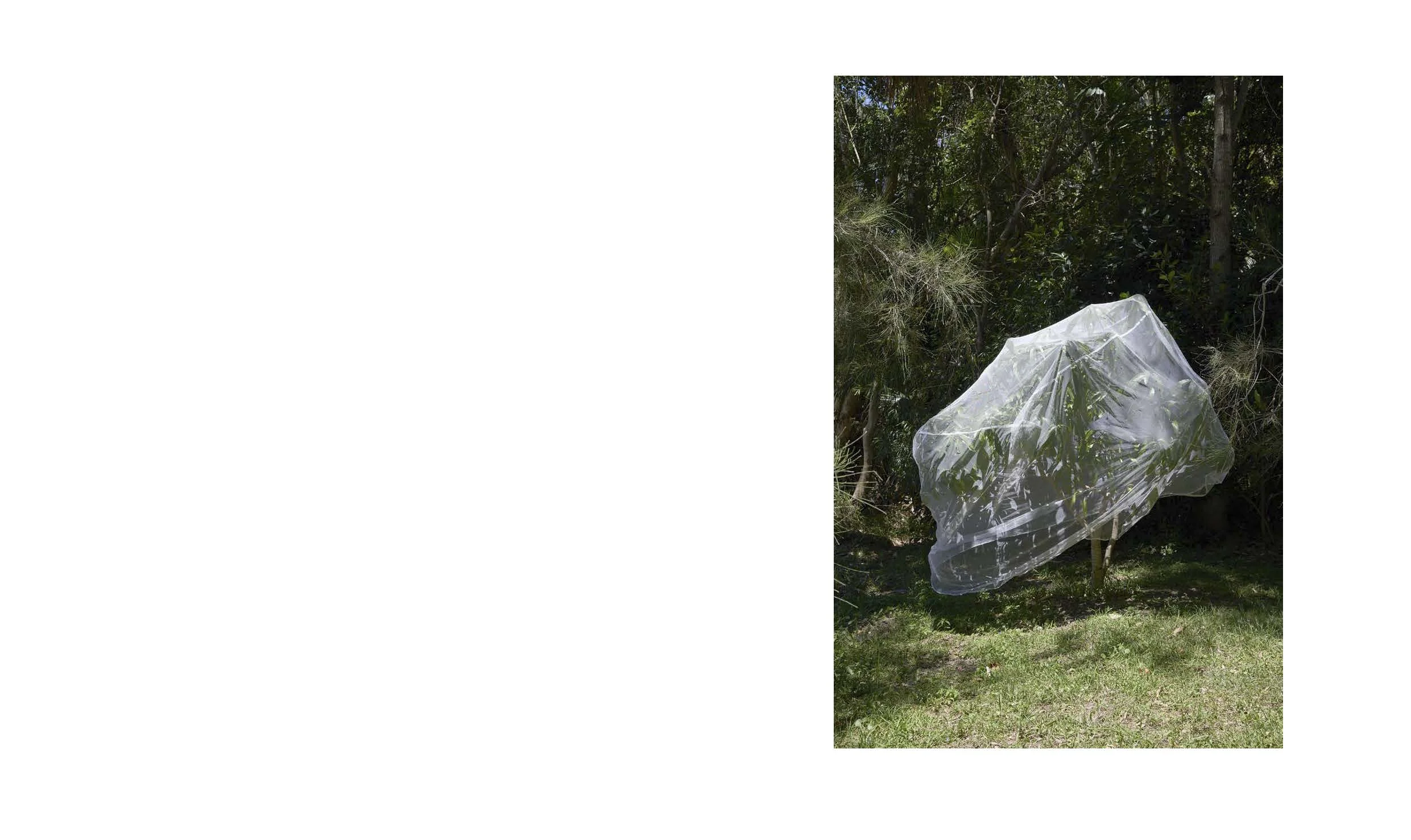 Tanya Houghton Songlines Dummy_Page_25.jpg