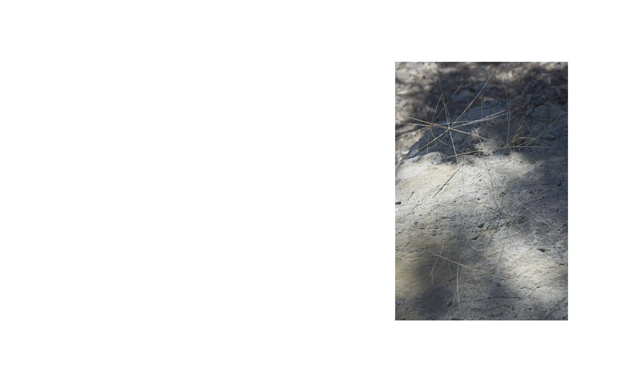 Tanya Houghton Songlines Dummy_Page_31.jpg