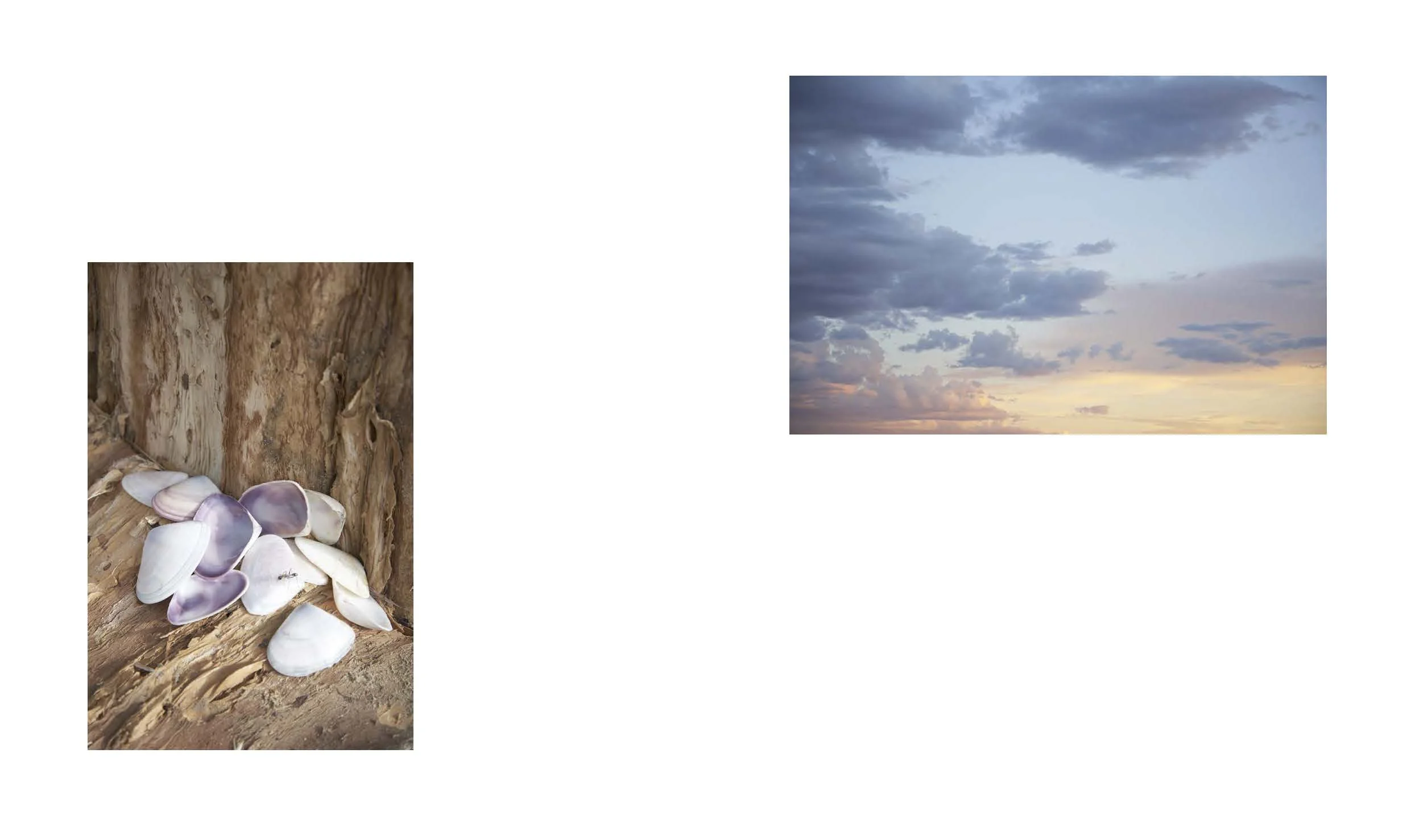 Tanya Houghton Songlines Dummy_Page_36.jpg