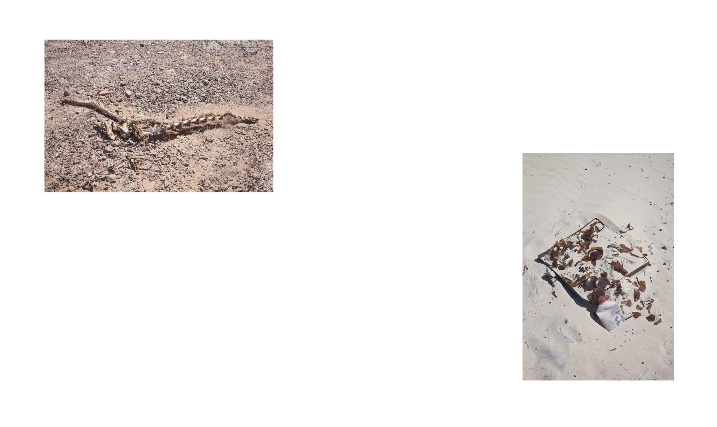 Tanya Houghton Songlines Dummy_Page_42.jpg