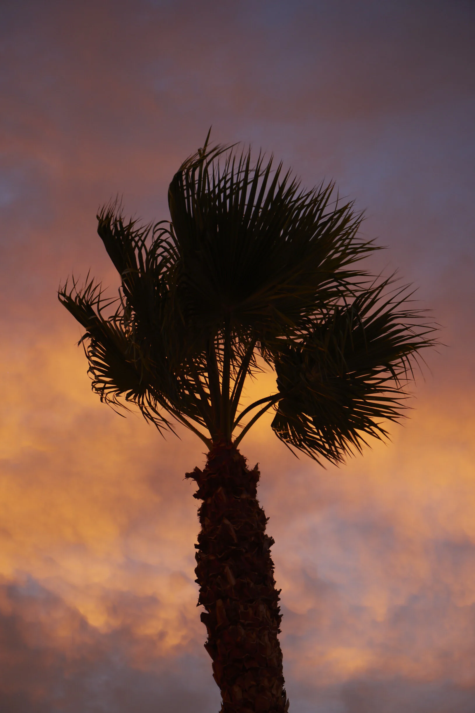 TH_USA_CF02_788.jpg