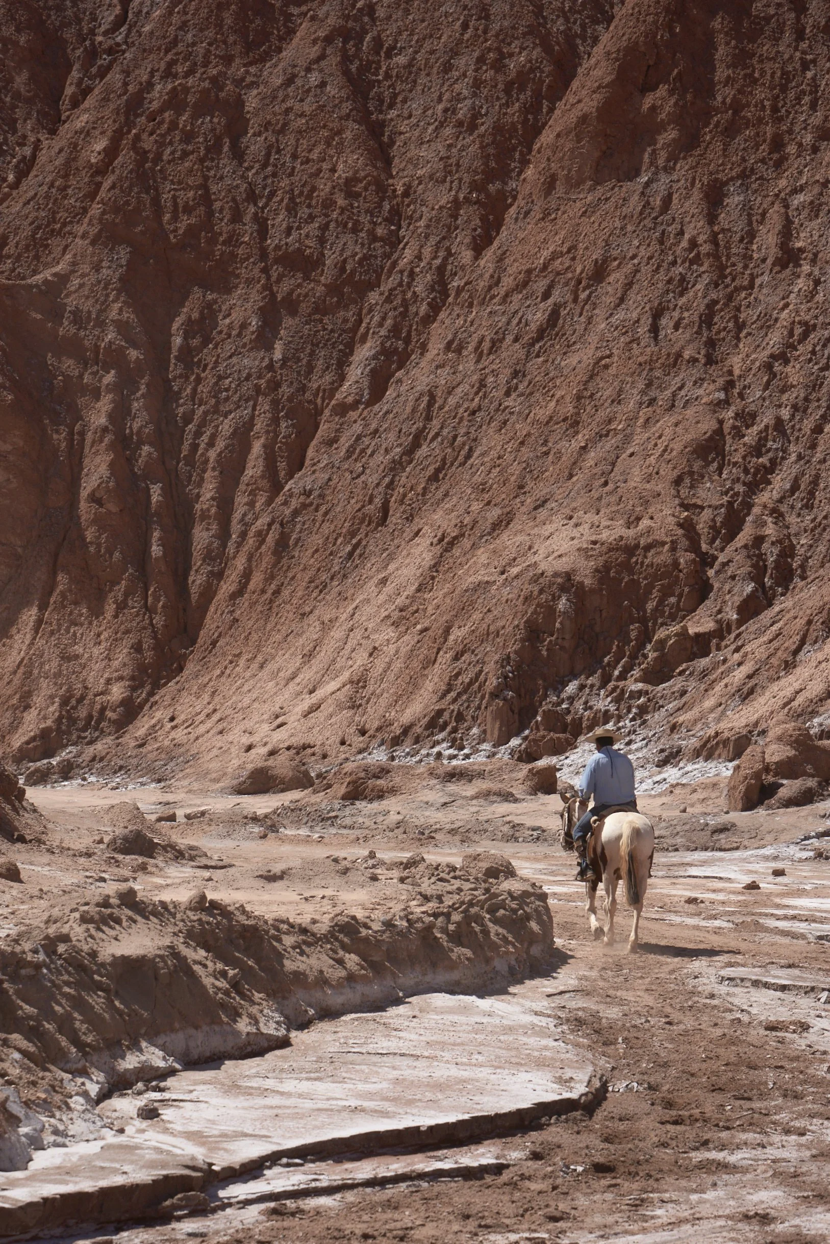 The Salar De Atacama
