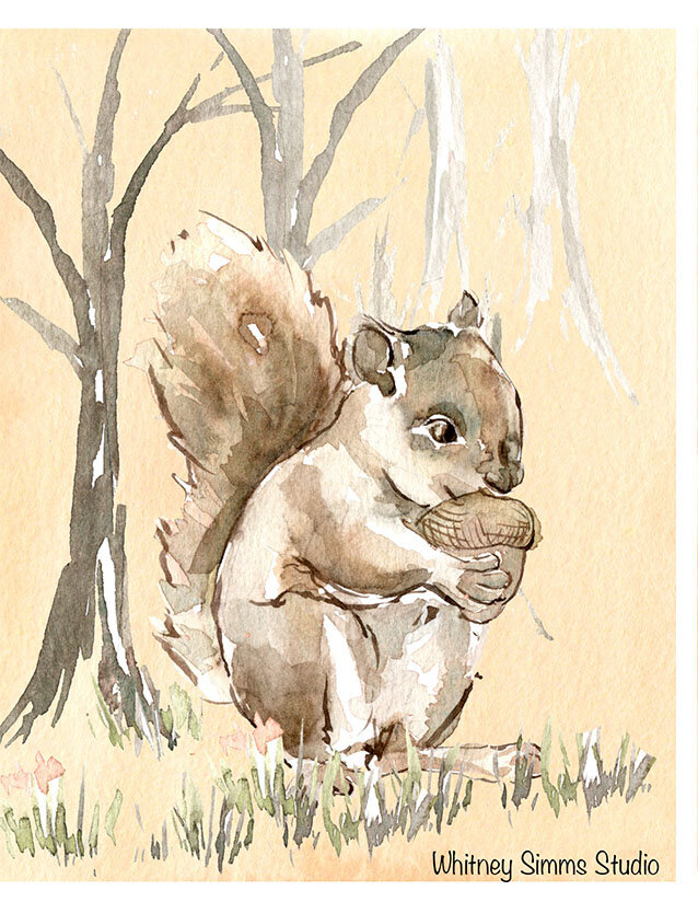 flat squirrel 150 web.jpg