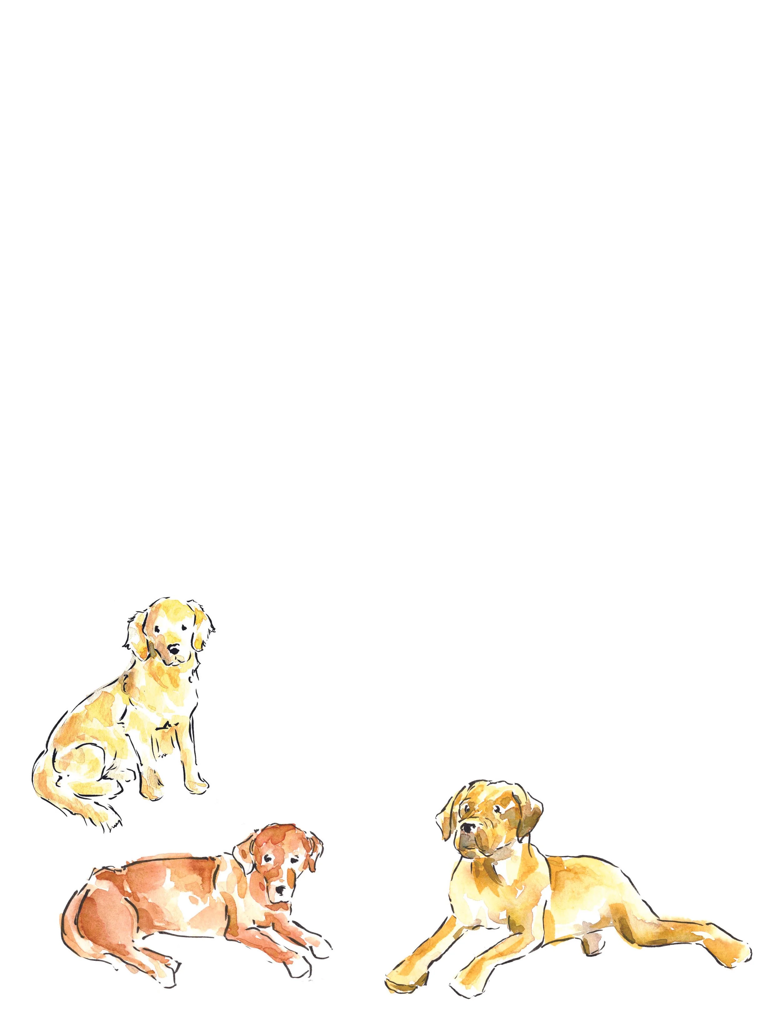 labs and retrivers 2.jpg