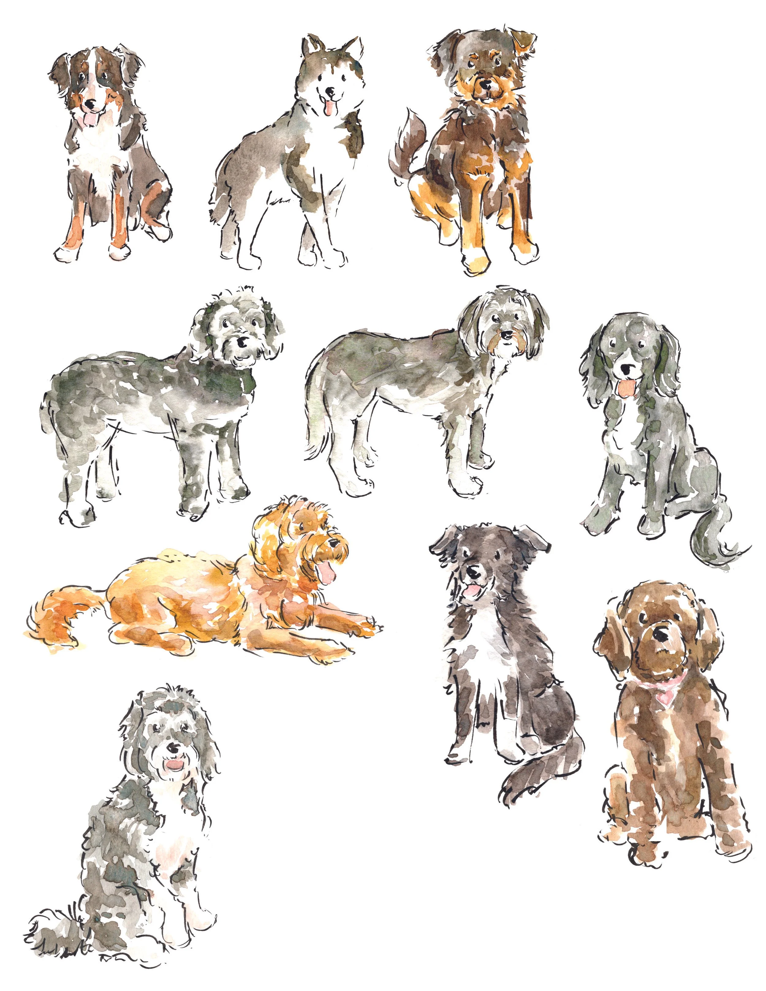 big and fluffy dogs.jpg