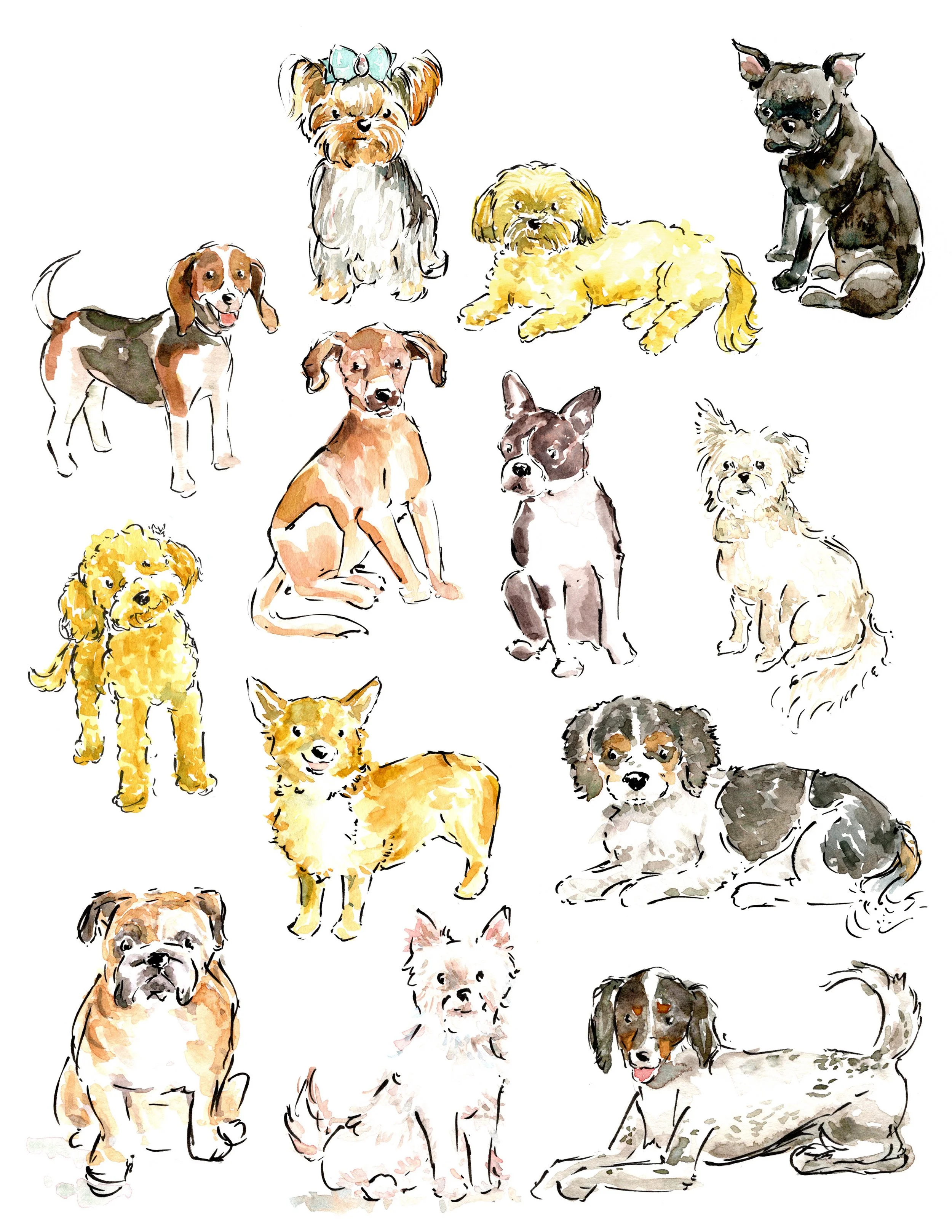 small dogs 2.jpg