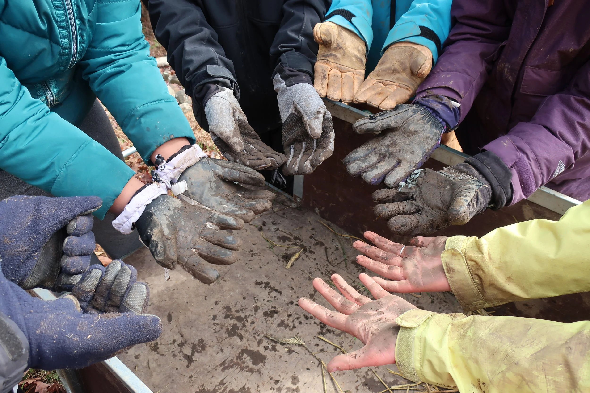 NEFOC Network Monthly Co-Coordinator Update: February 2019