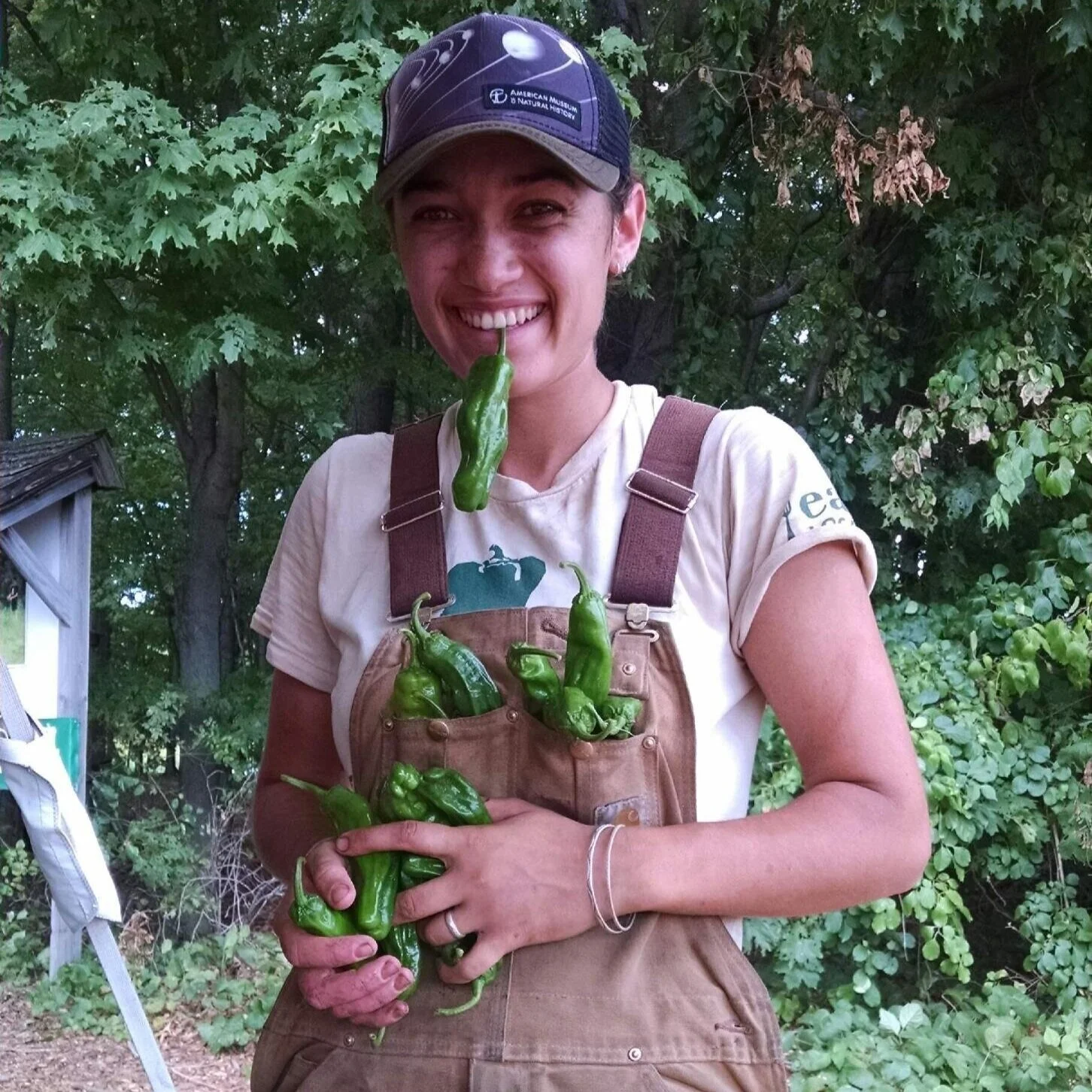 Keely Curliss (She/Her, They/Them) Member, Board of Directors Keely is a queer indigenous farmer, youth worker and community organizer who lives in Boston, MA. She is a member of the Nipmuc Nation and has spent the last 12 seasons growing and cultivating food in spaces of all sizes, from her small second floor back porch to 31 acre vegetable farms. When not tending to plants and land, Keely can be found organizing as a part of the leadership team of Rooted in Community, a national network of youth, food and environmental justice organizations. Keely dreams of a world post capitalism and the exploitation of mother earth where folks honor the land and express gratitude for the abundance. Keely is soon to leave her non-profit job in hopes of reimagining a way to pay the bills while making space to deepen her connection to community, organizing and growing food.