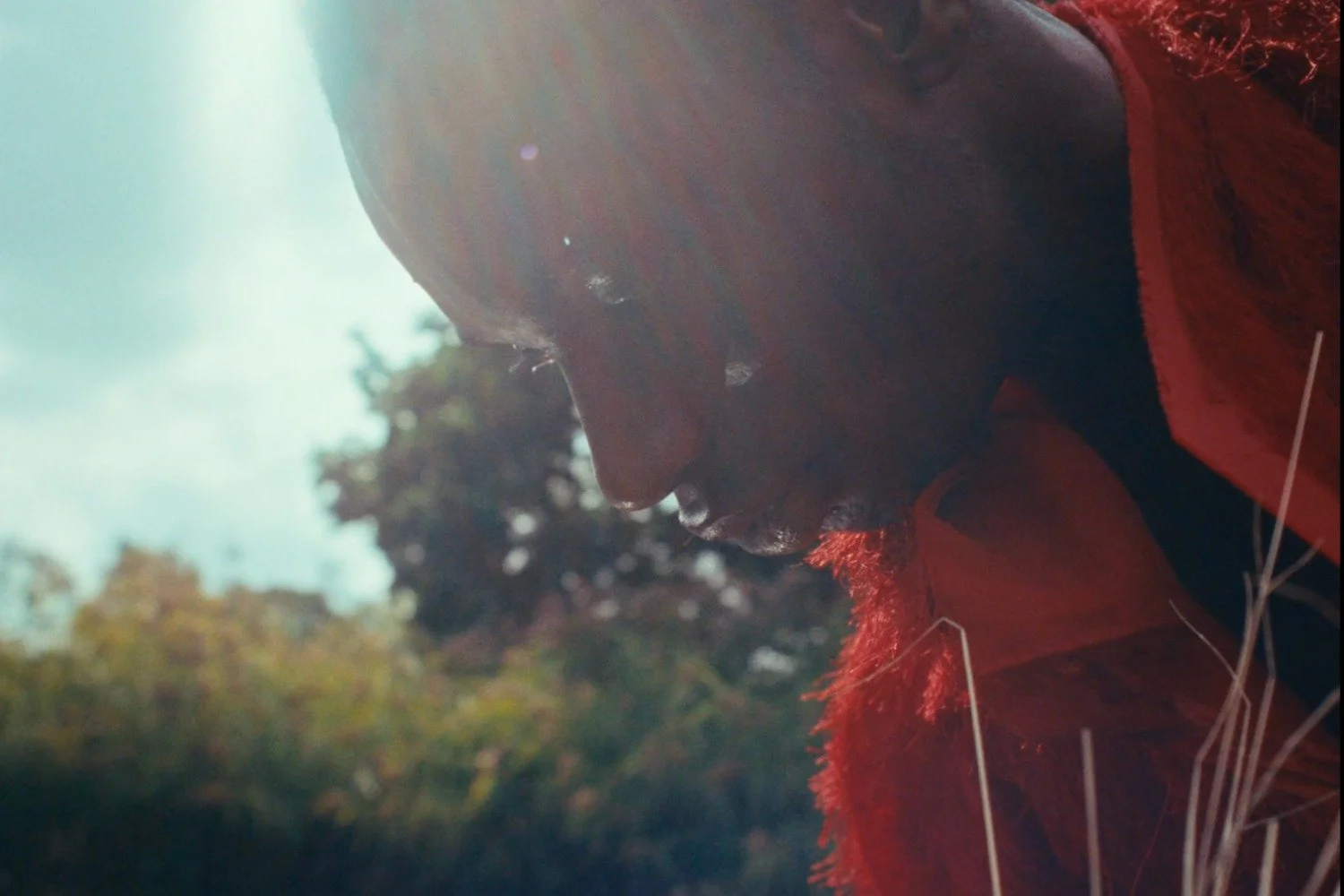 XCMUA FILM Florescence 6.jpg