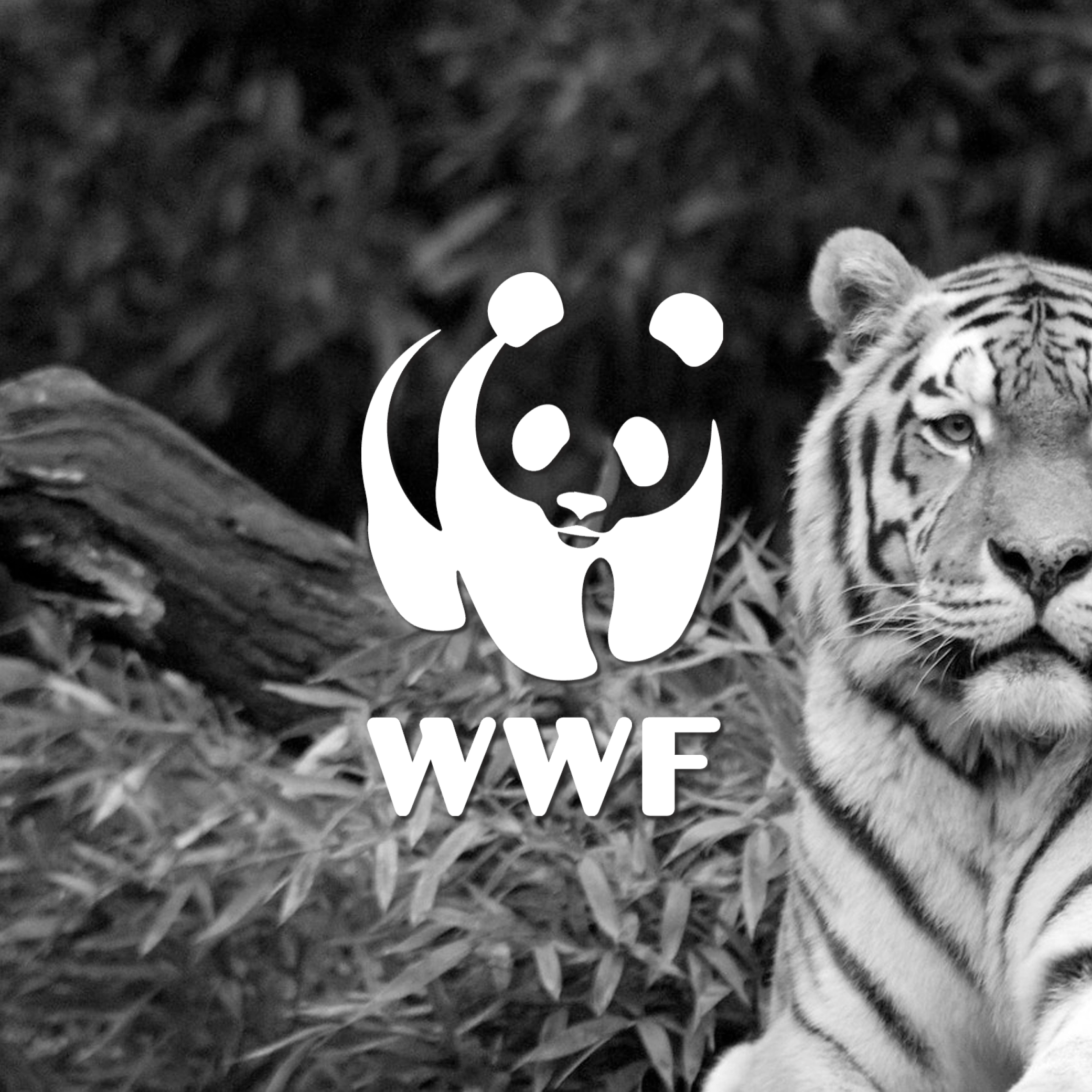 WWF_Icon.png