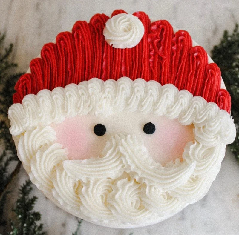 santa cake.jpg