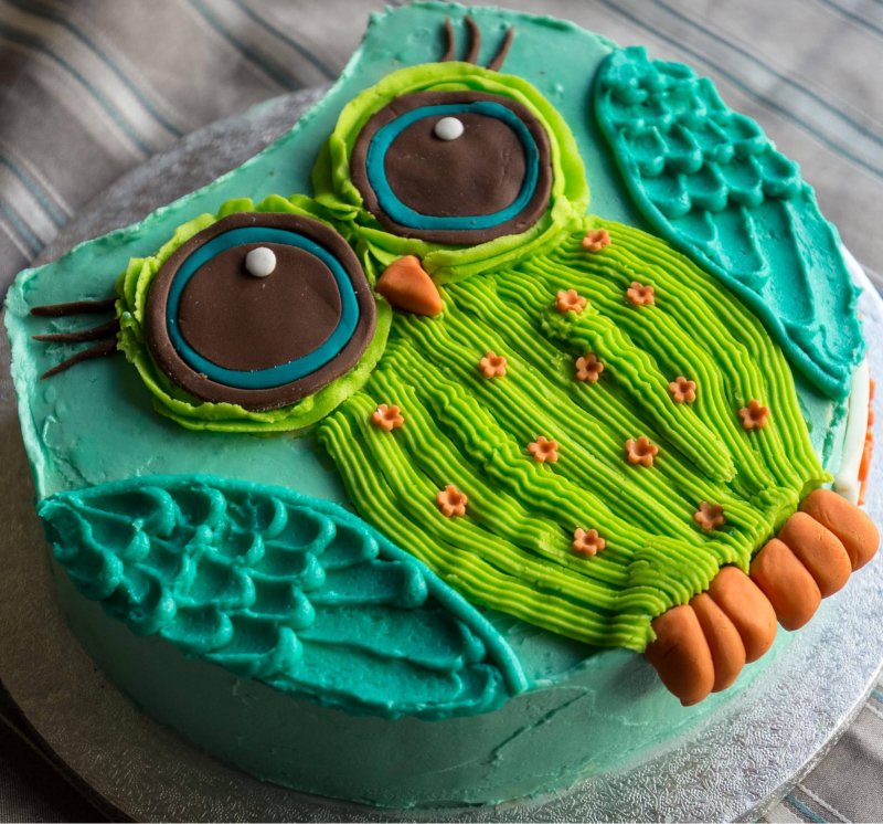 owl_01.jpg