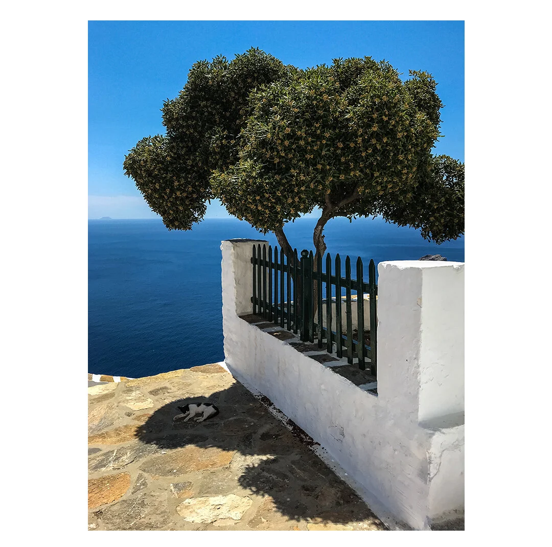 Cyclades_53_Clive_Frost.jpg