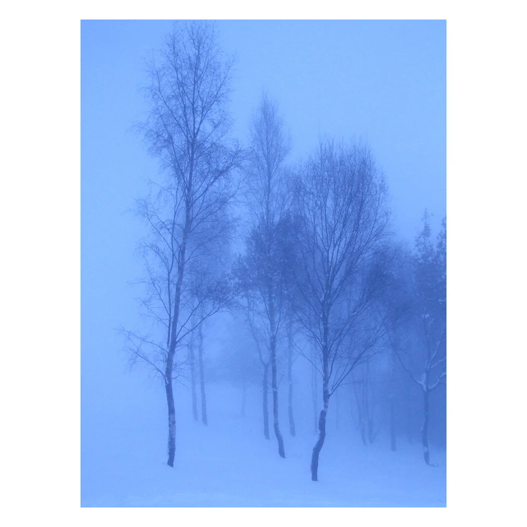 3 Days_Clive_Frost_1_15.jpg