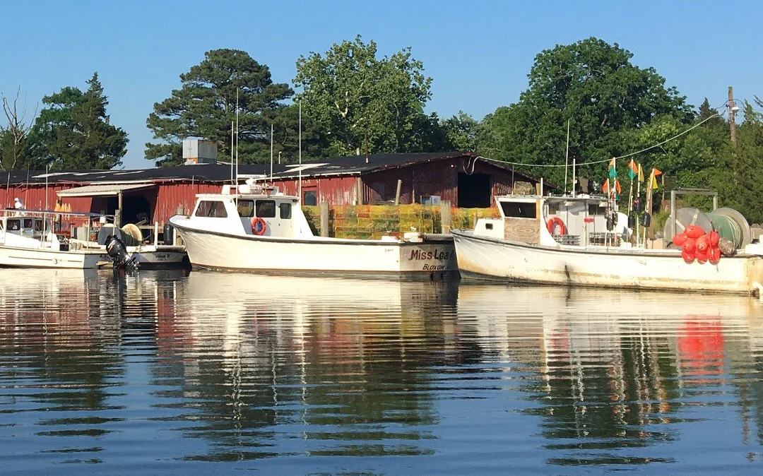 boats2.jpg