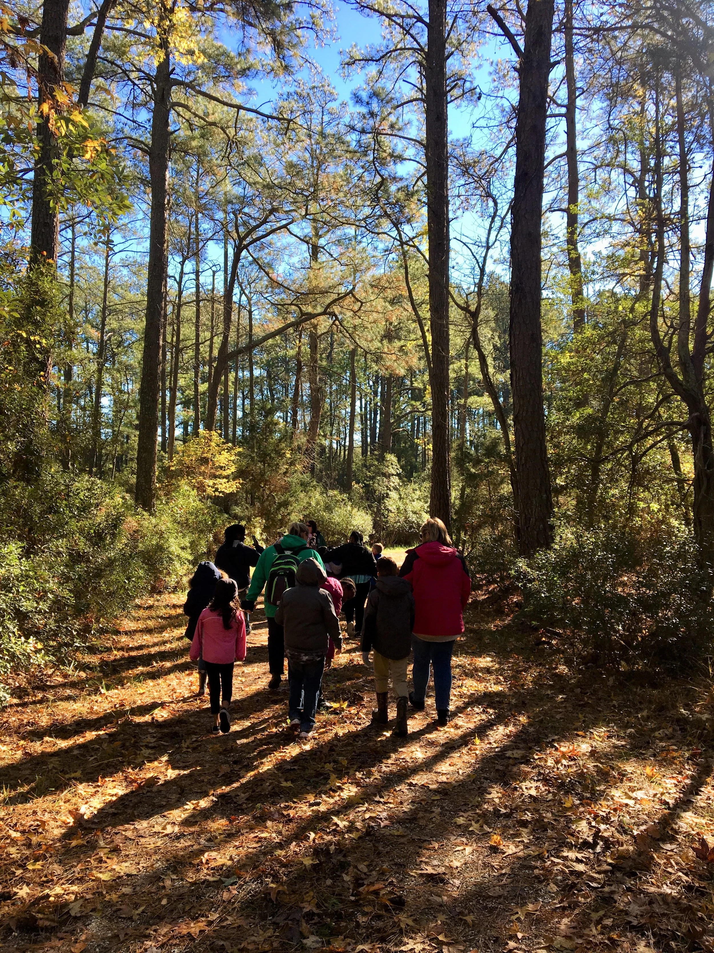 Intro to Nature Journaling