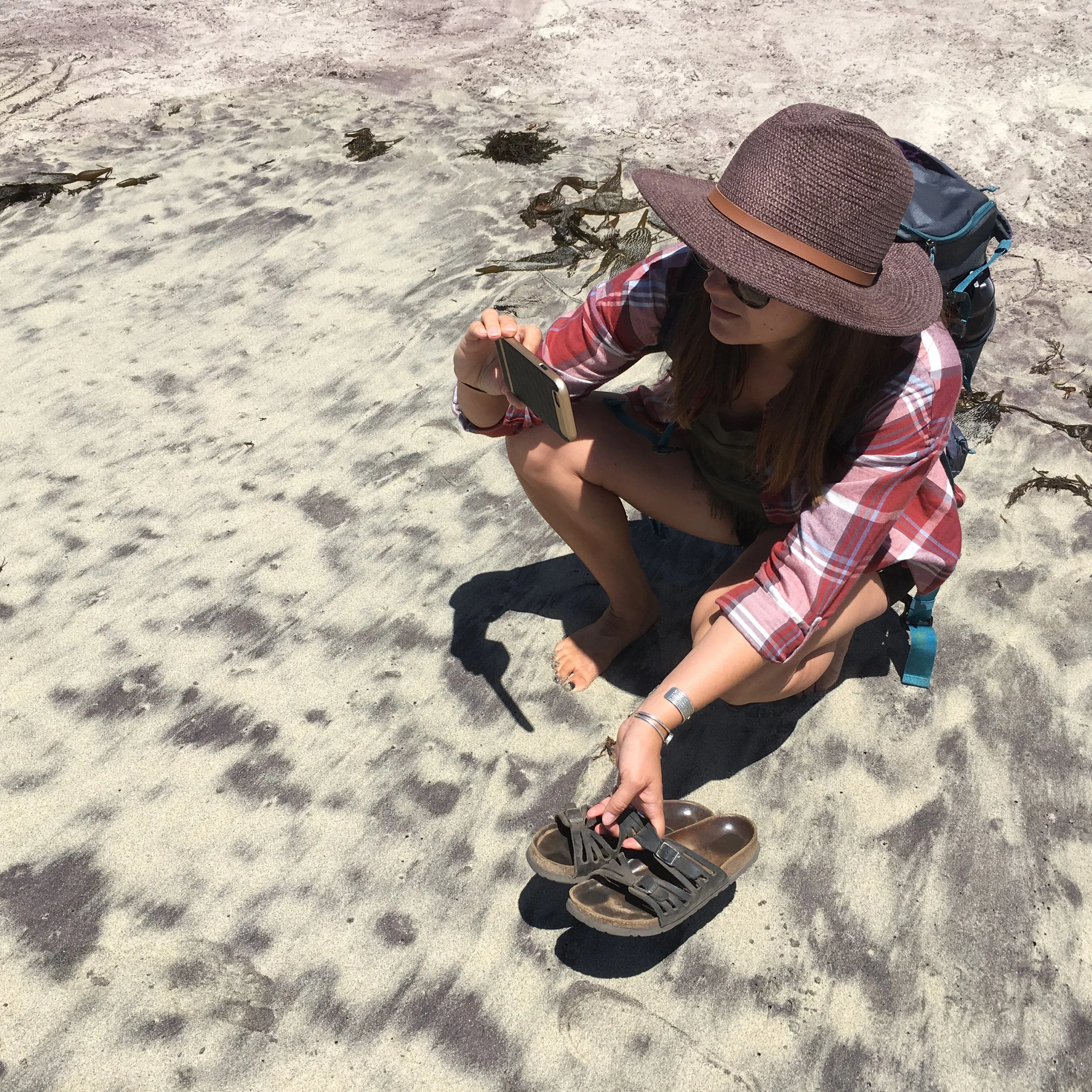 Picture the Shore - Submission Deadline