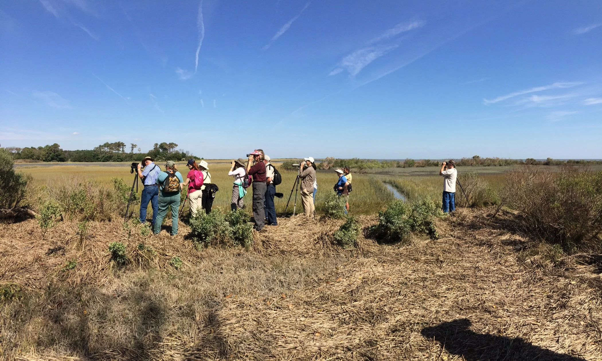 Walk with Birding Eastern Shore